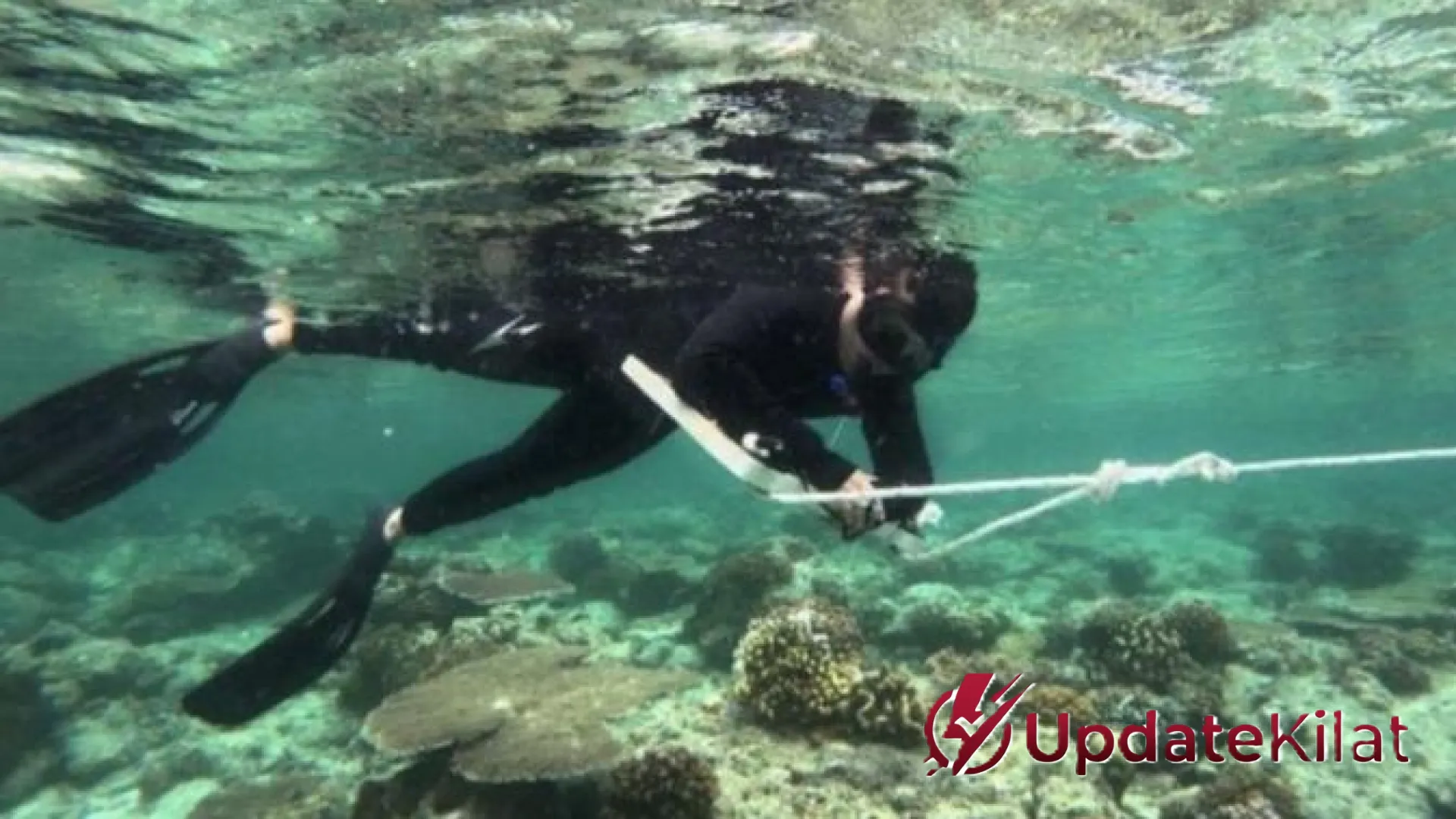 Menjaga Jantung Biru Borneo: Langkah Agresif Pemprov Kaltim Perkuat Tata Kelola Konservasi Laut Melalui Evika 2.0