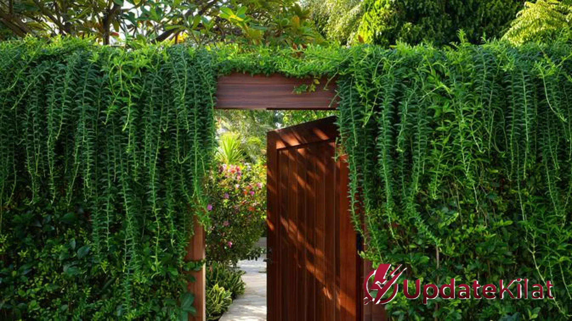 8 Inspirasi Pagar Hidup dari Tanaman Rambat: Solusi Hunian Tropis yang Sejuk, Asri, dan Privat