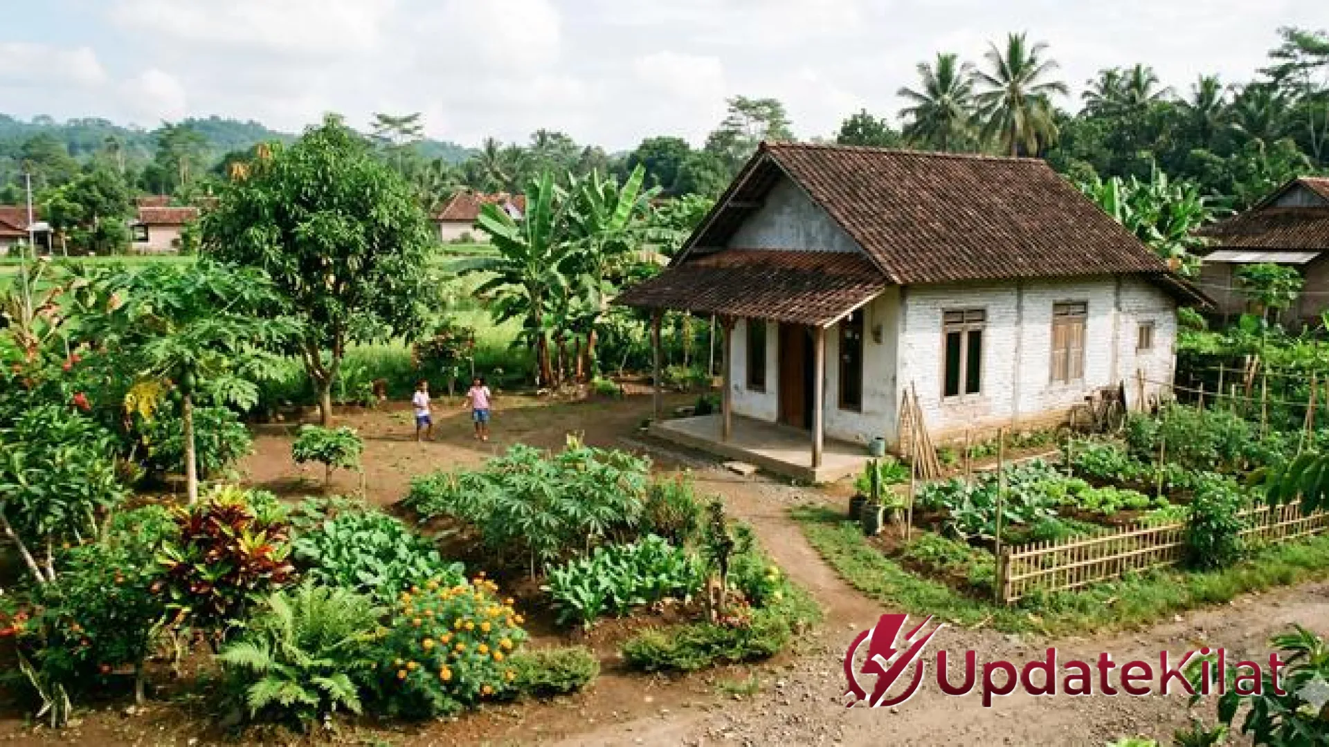 7 Inspirasi Desain Rumah 1 Lantai Atap Genteng Budget 50 Juta di Desa yang Estetik dan Kokoh