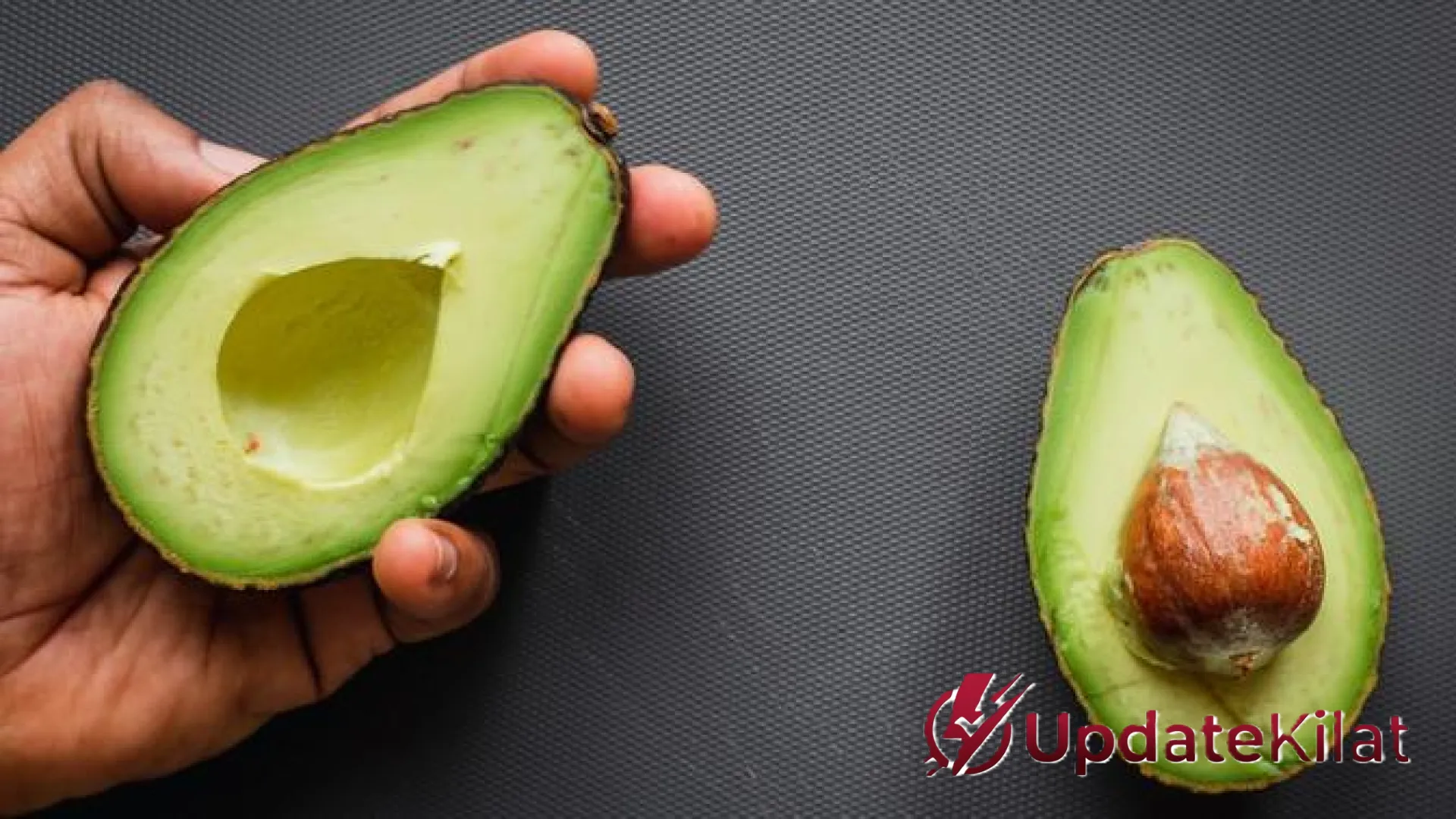 7 Jenis Pohon Alpukat Paling Cuan: Panduan Varietas Unggul untuk Investasi Kebun yang Menguntungkan