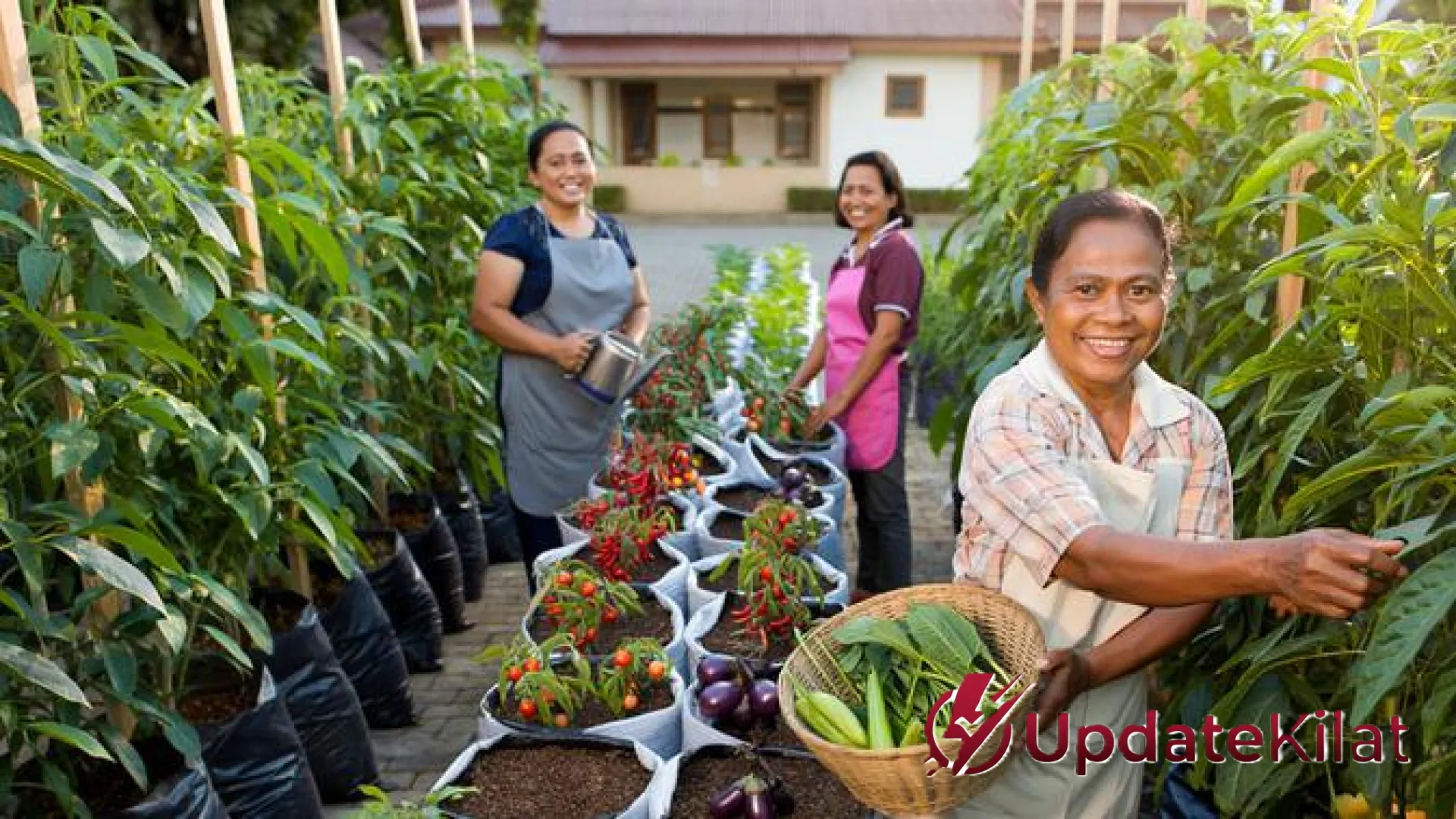 Mandiri Pangan dari Halaman Gereja: 8 Inspirasi Kebun Sayur Kreatif untuk Paguyuban Ibu-ibu Paroki
