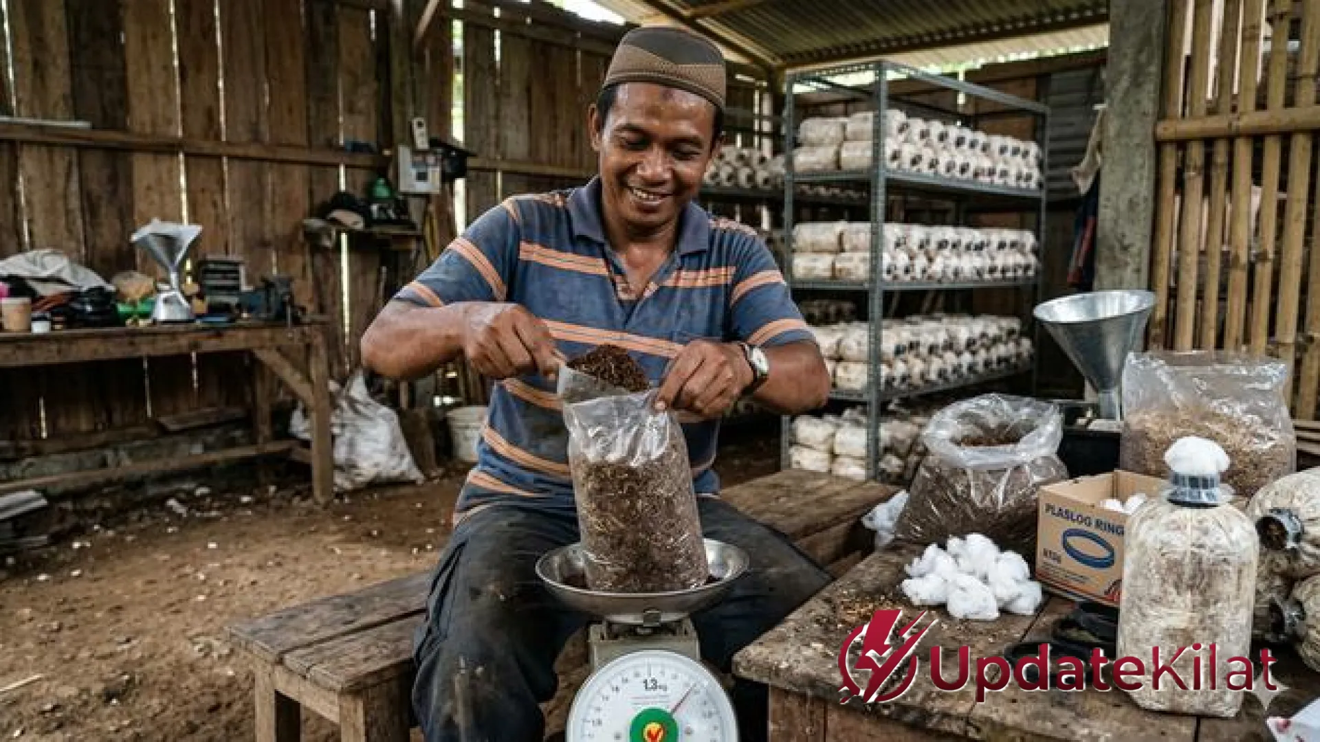 Strategi Jitu Membuat Baglog Jamur Tiram Mandiri: Panduan Komprehensif dari Seleksi Bahan Hingga Masa Panen