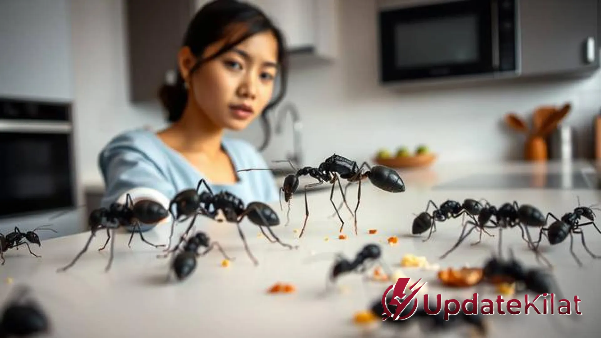 Trik Jitu Menghilangkan Semut di Gula dan Makanan Manis: Solusi Higienis Tanpa Harus Buang Bahan