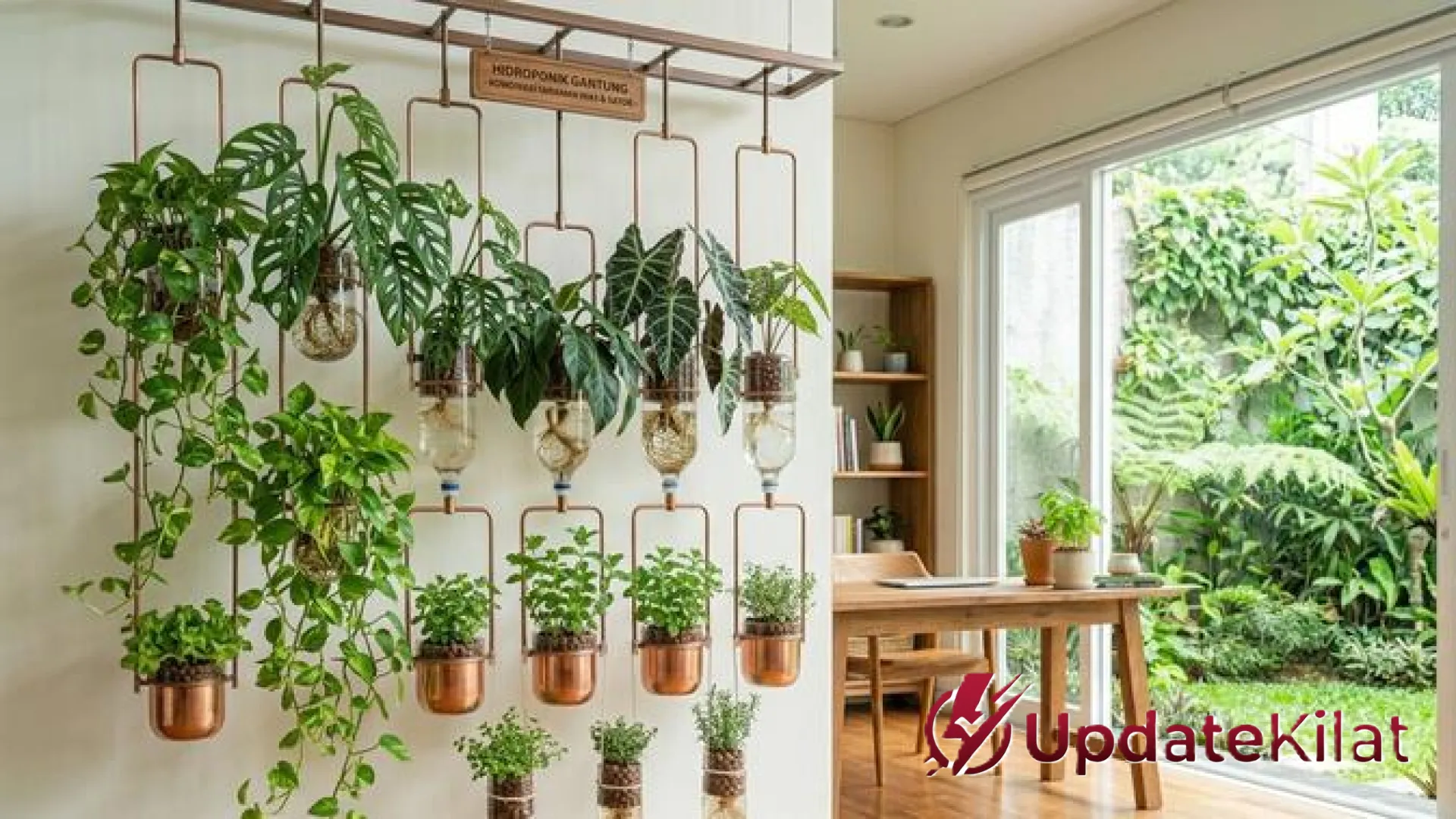 10 Jenis Tanaman Hias Hidroponik Minimalis yang Tahan Lama dan Cocok untuk Pemula