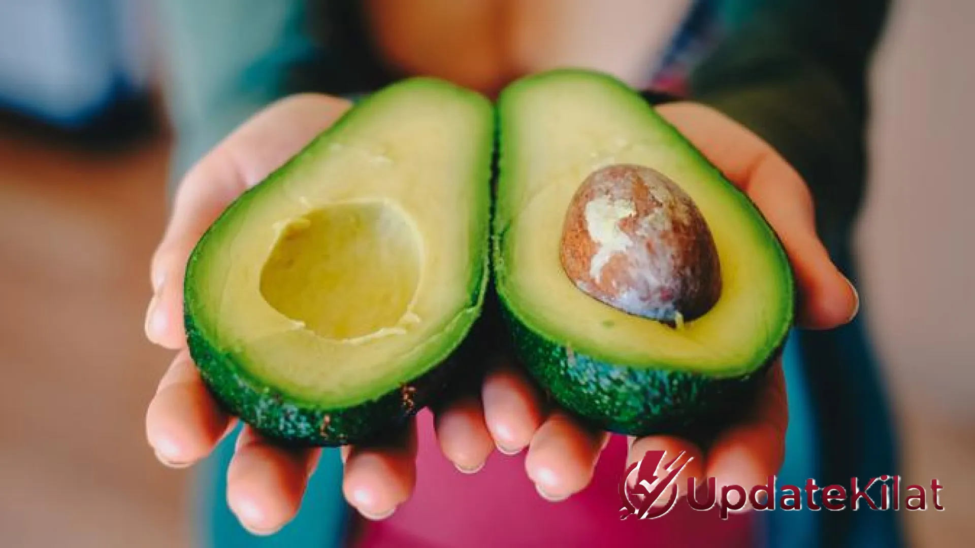 Solusi Lahan Sempit: 4 Varietas Alpukat Pendek dengan Buah Raksasa dan Tekstur Mentega