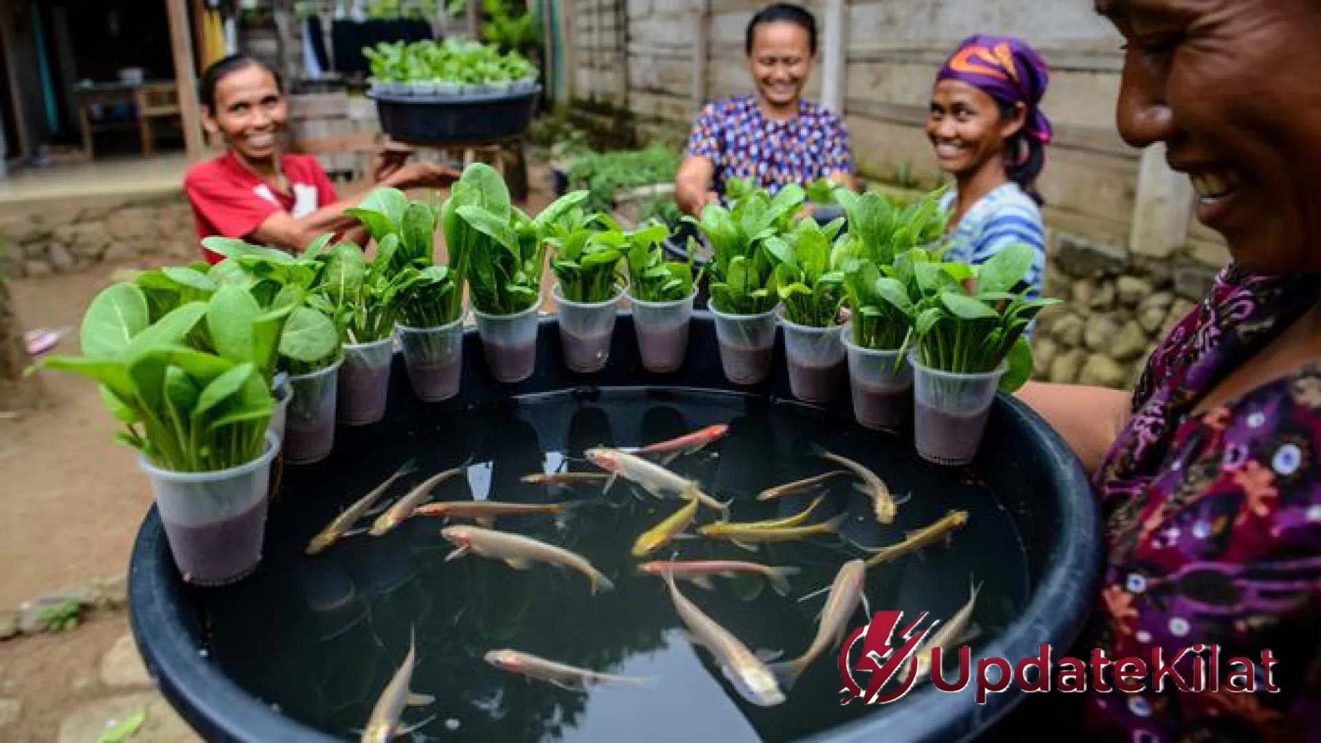 Strategi Ekonomi Kreatif: 12 Ide Ternak Cepat Panen dan Balik Modal untuk Pemberdayaan Ibu PKK