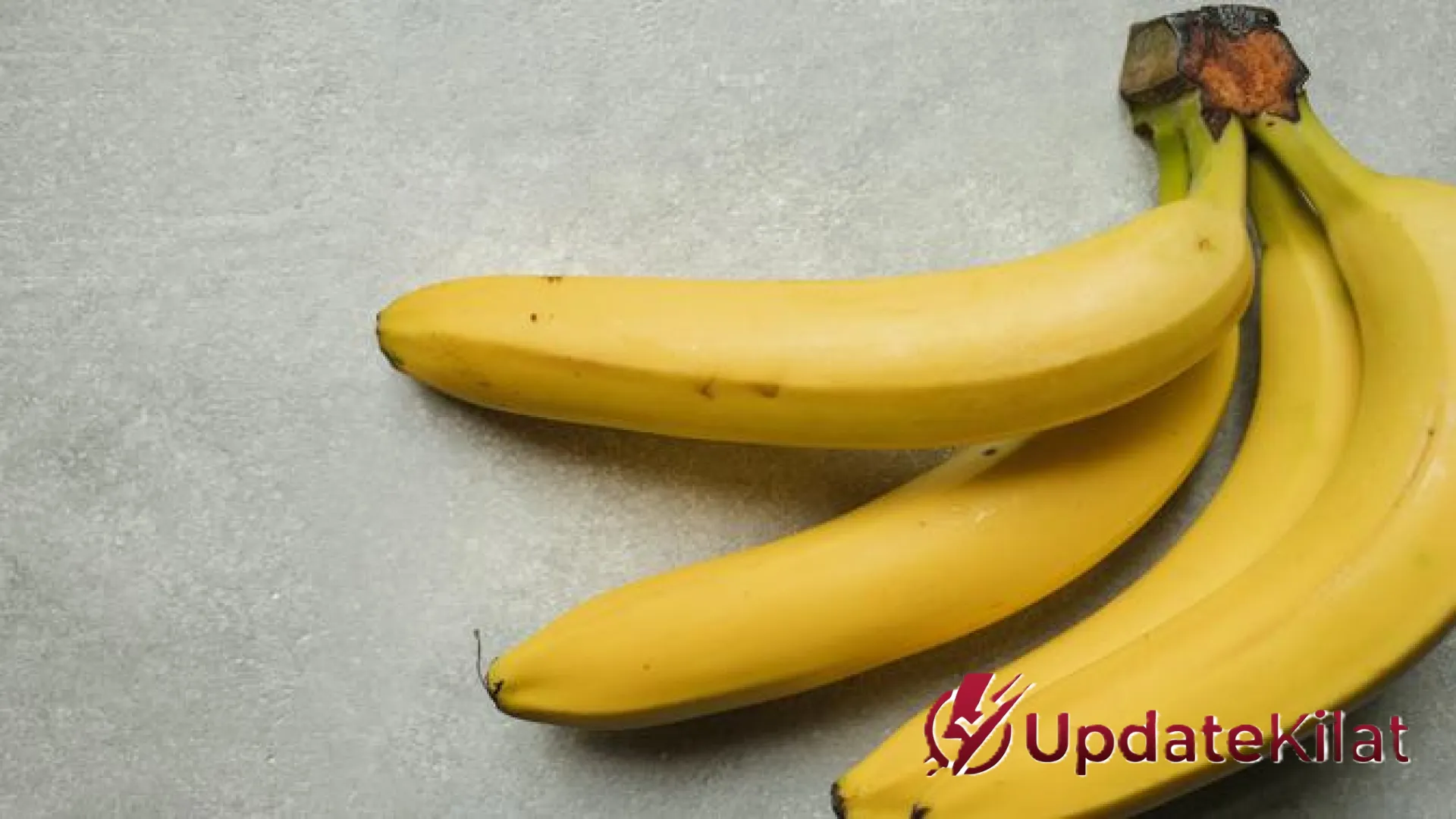 9 Rekomendasi Bibit Pisang Terbaik untuk Usaha Kecil: Peluang Cuan Menjanjikan dari Lahan Terbatas