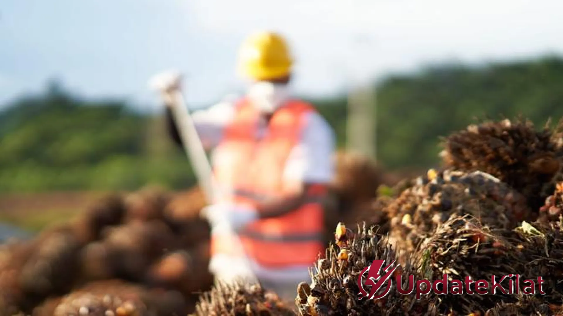 Capaian Impresif PT Palma Serasih Tbk (PSGO): Strategi Jitu di Balik Lonjakan Laba dan Komitmen Keberlanjutan