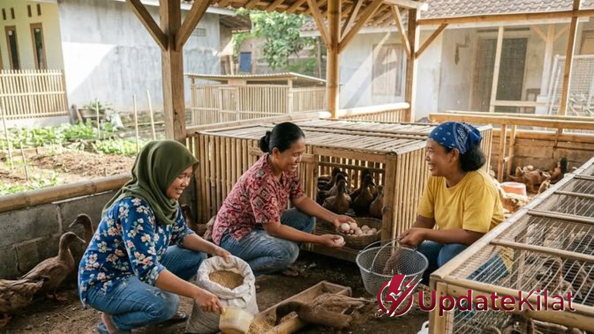 Panduan Eksklusif Ternak Bebek Petelur: Transformasi Ekonomi Ibu Dasawisma Menuju Kemandirian Finansial