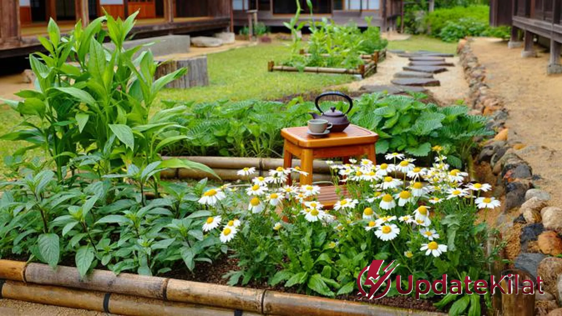 Harmoni Estetika dan Kemandirian Pangan: 9 Inspirasi Kebun Produktif ala Rumah Jepang untuk Hunian Desa di Tahun 2026
