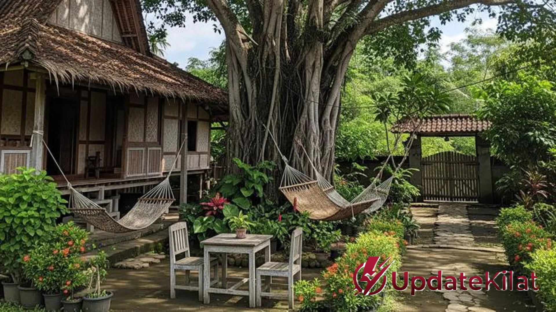 Sentuhan Alam di Hunian Idaman: 7 Desain Rumah Desa dengan Pohon Besar yang Menyejukkan