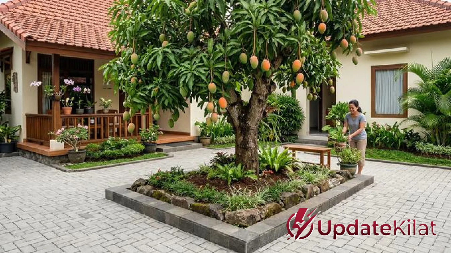 7 Pilihan Pohon Buah dengan Akar Aman untuk Paving: Solusi Hijau di Lahan Sempit