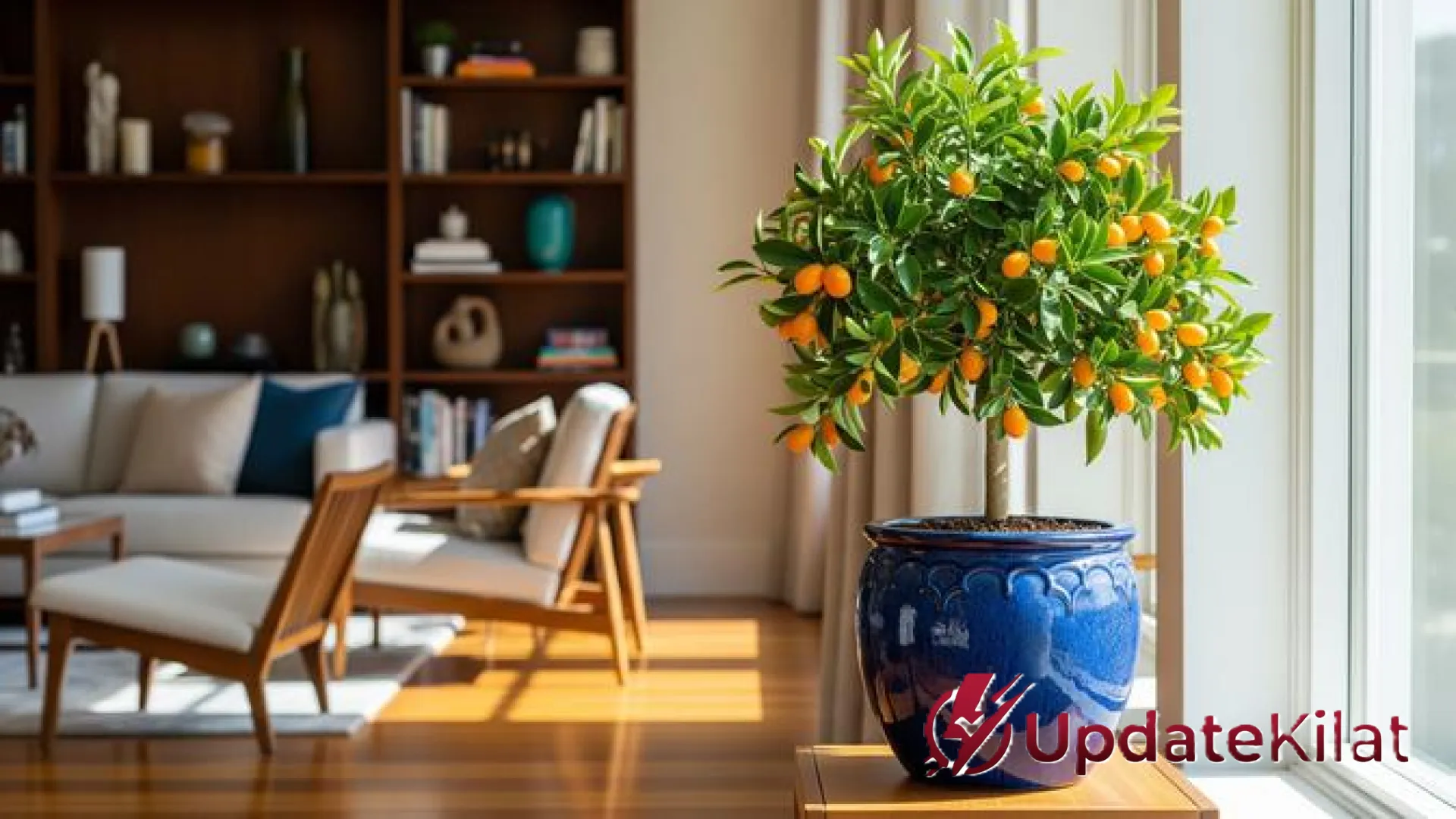Pilihan Pohon Buah Terbaik untuk Menghias Interior: Estetika Hijau dan Panen Segar dari Ruang Tamu