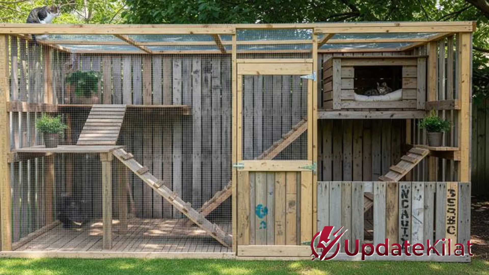 8 Rahasia Sukses Bangun Kandang Kucing Outdoor dari Kayu Bekas yang Nyaman dan Instagramable