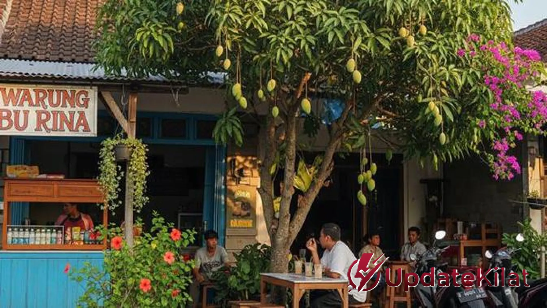 7 Pilihan Pohon Buah Peneduh untuk Warung Depan Rumah: Estetik, Produktif, dan Bebas Gangguan