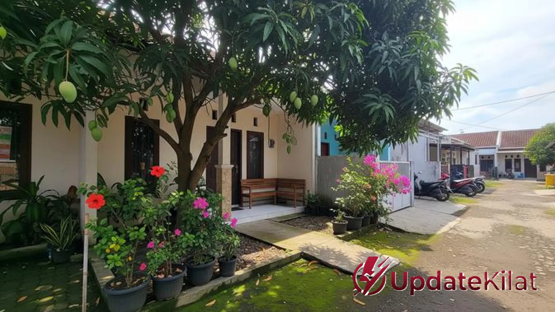 12 Pohon Buah Cepat Tinggi dengan Akar Aman: Solusi Hijau Tanpa Merusak Fondasi Rumah