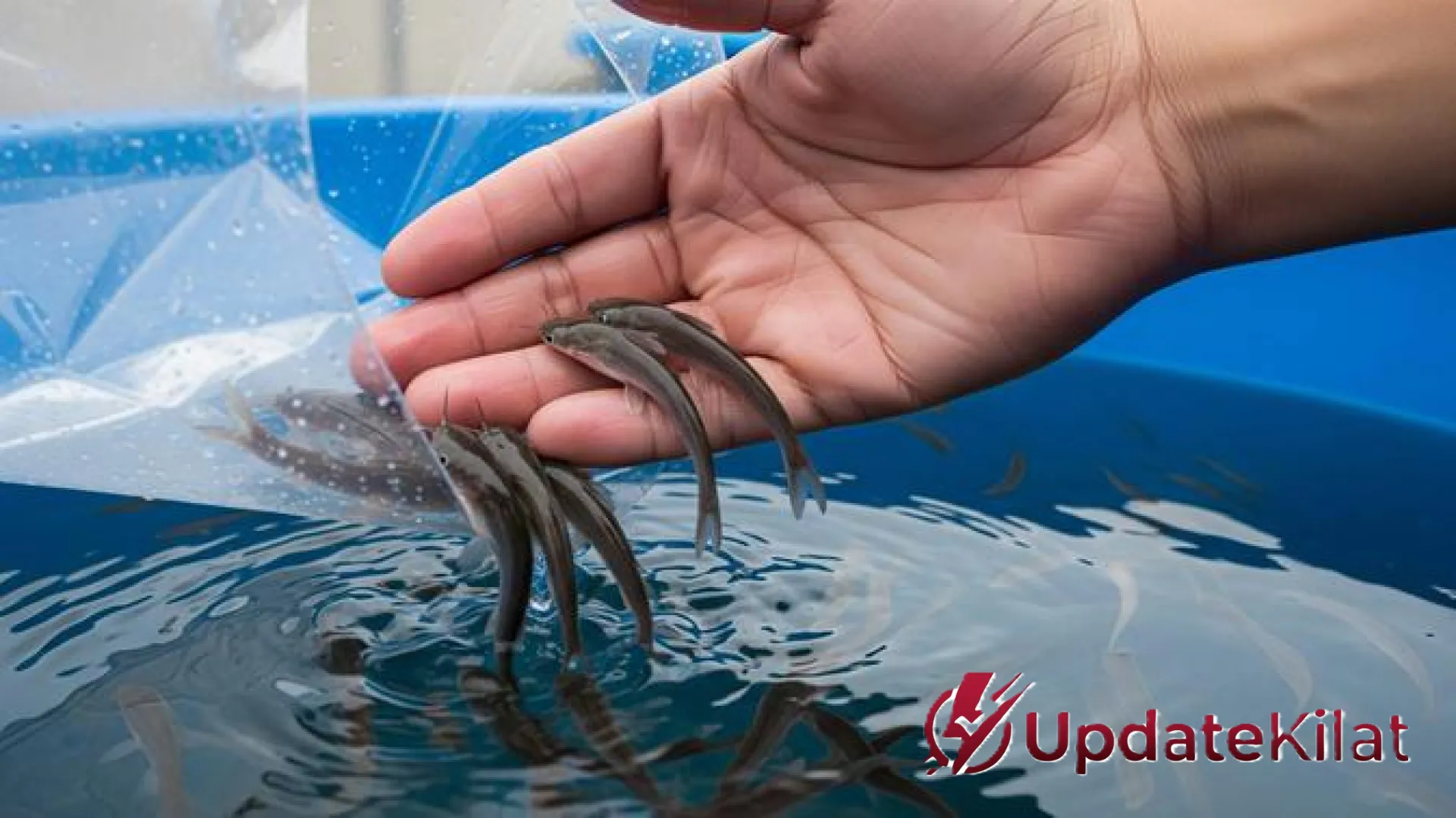 6 Ide Ternak Hewan Mini di Ember: Peluang Bisnis Rumahan Modal Kecil Untung Berlipat