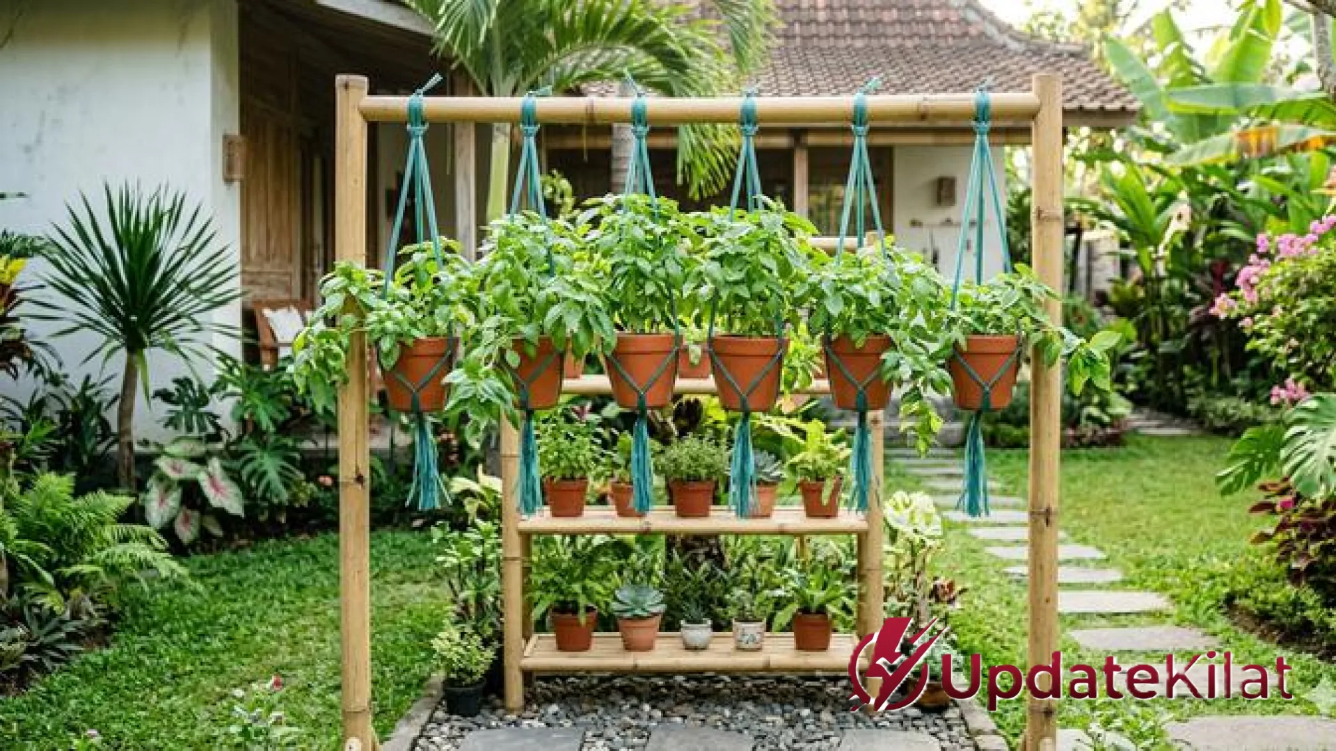 Rahasia Menanam Kemangi Gantung Agar Rimbun dan Segar: Panduan Lengkap Bertanam Hemat Lahan