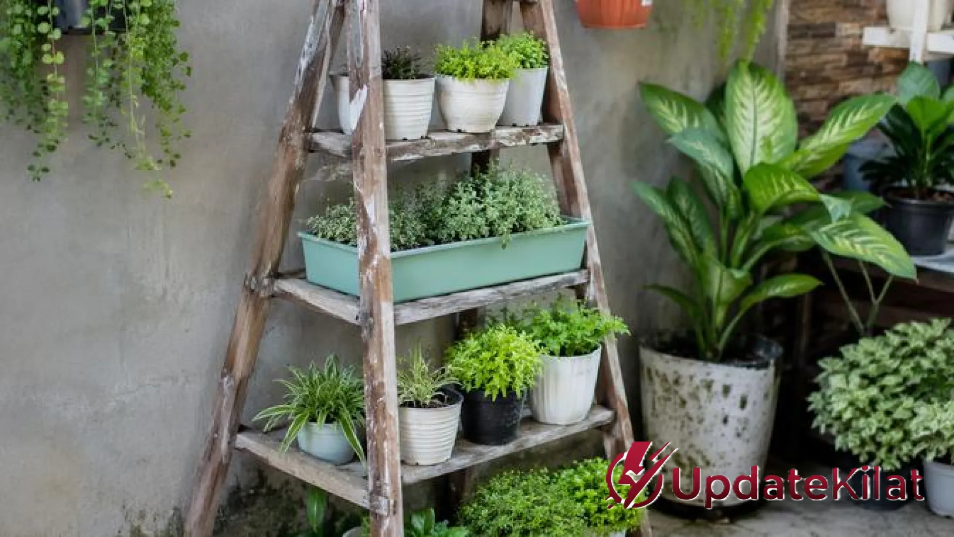 5 Inspirasi Kebun Vertikal dari Tangga Lipat Bekas: Sulap Barang Rusak Jadi Sudut Hijau yang Estetik