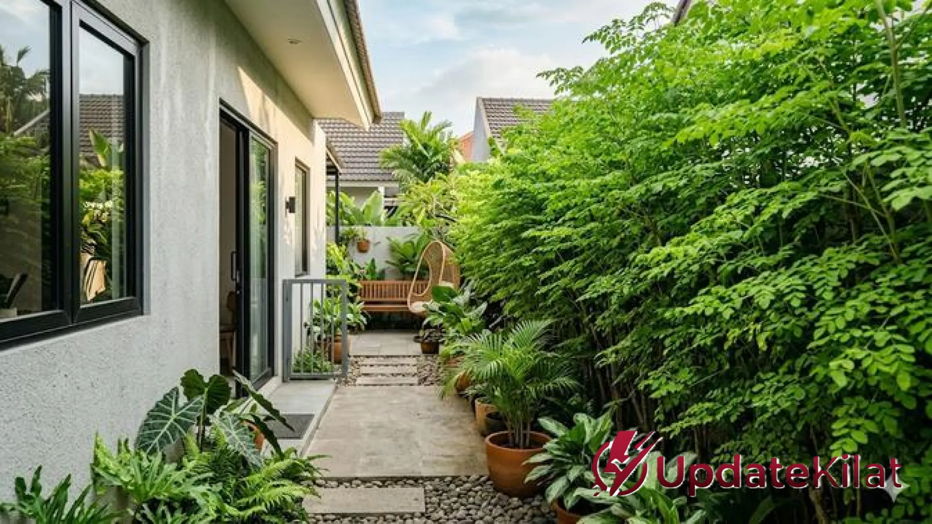 7 Inspirasi Pagar Hidup dari Pohon Kelor: Estetika Hijau, Peneduh Alami, dan Gudang Nutrisi di Halaman Rumah