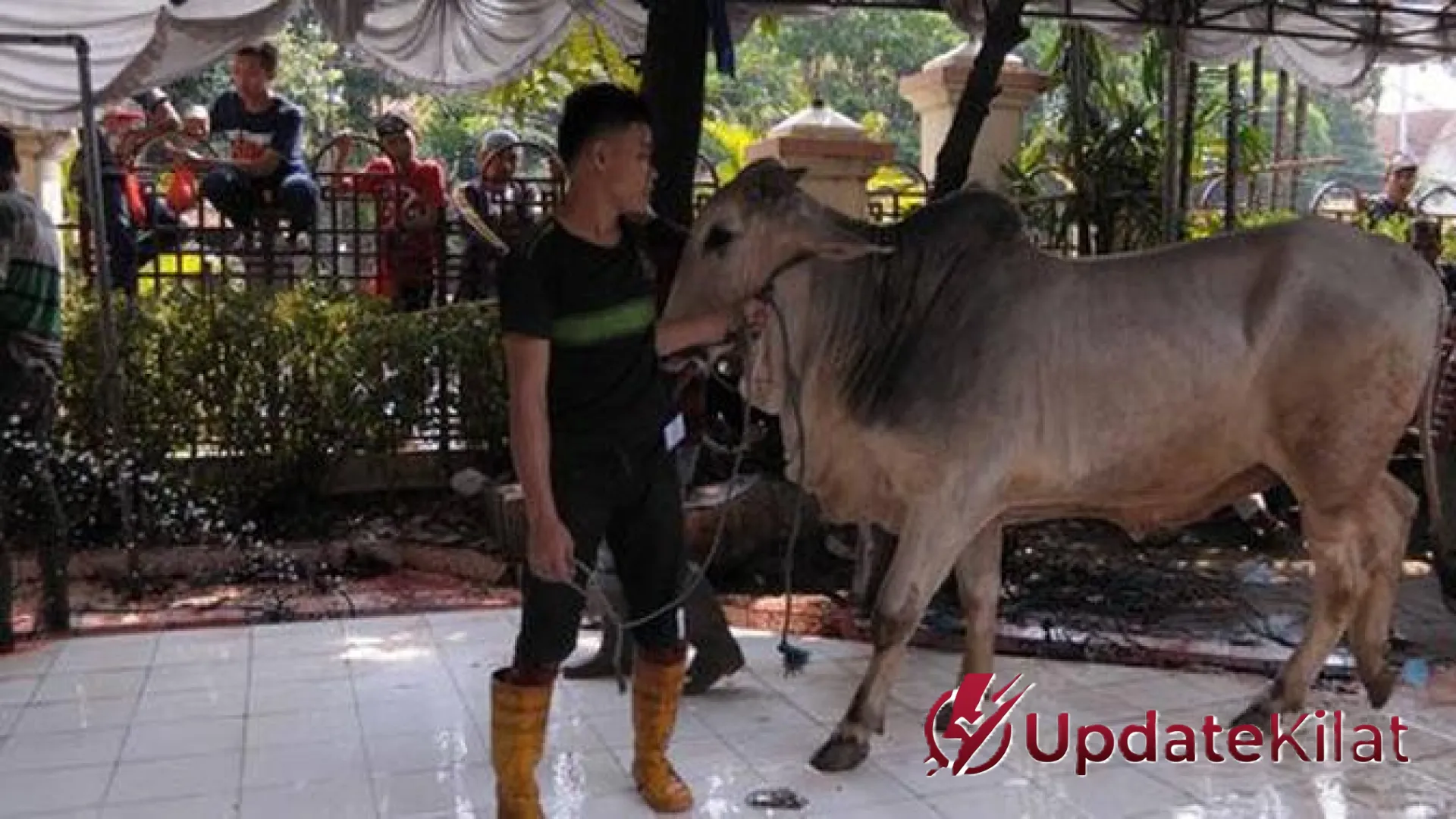 Mengetuk Pintu Langit: Kumpulan Doa Agar Rezeki Lapang dan Bisa Berkurban Tahun Depan