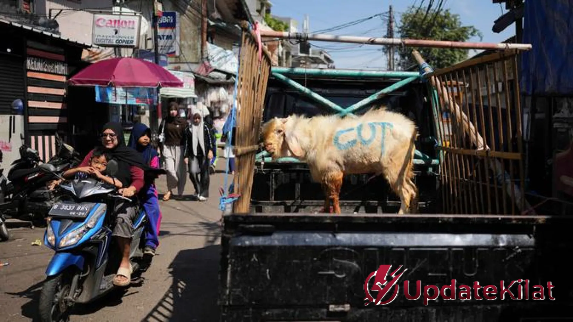 Jakarta Perketat Aturan EcoQurban: Panitia Dilarang Keras Buang Darah ke Selokan, Melanggar Siap-Siap Diawasi