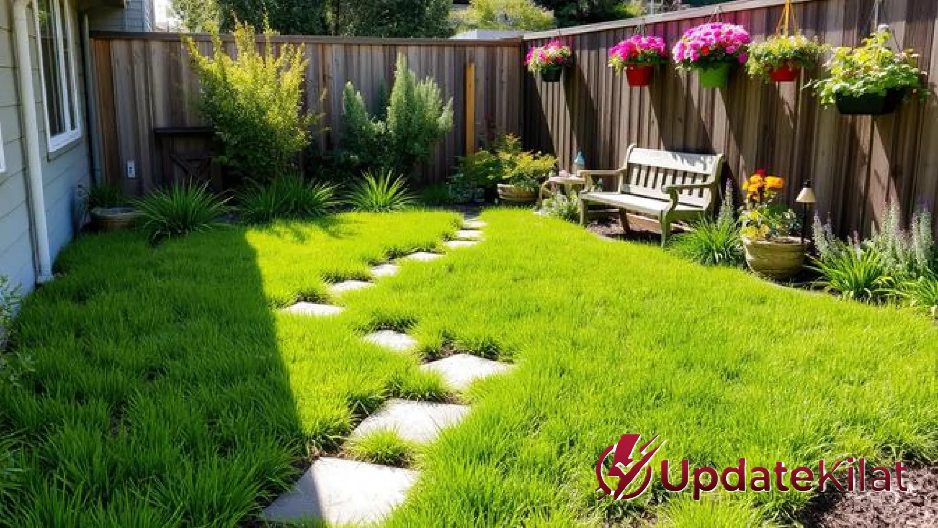 Transformasi Halaman Depan: 7 Jenis Rumput Hias Cantik yang Anti Ribet dan Minim Perawatan