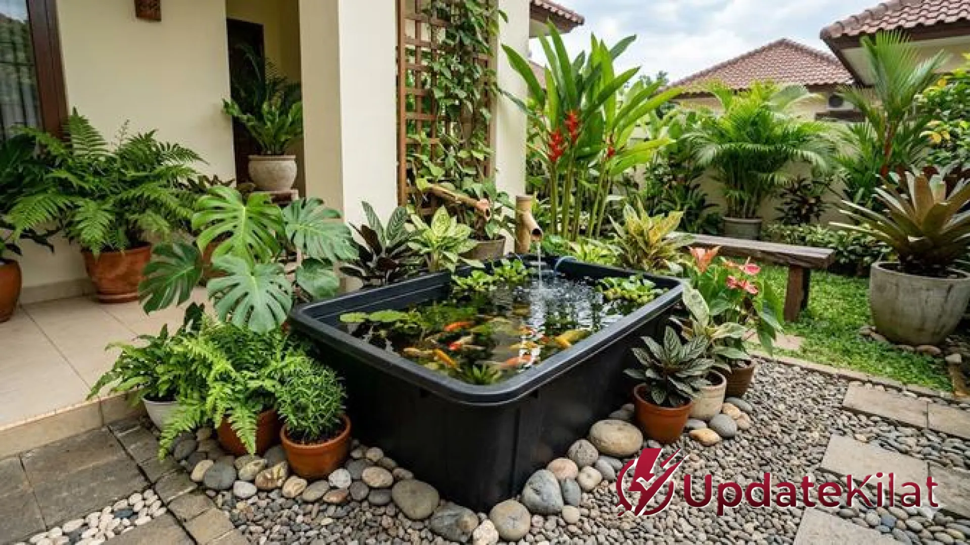 Solusi Lahan Sempit! 5 Inspirasi Kolam Ikan Mini Tanpa Gali Tanah yang Estetik dan Mudah Dibuat