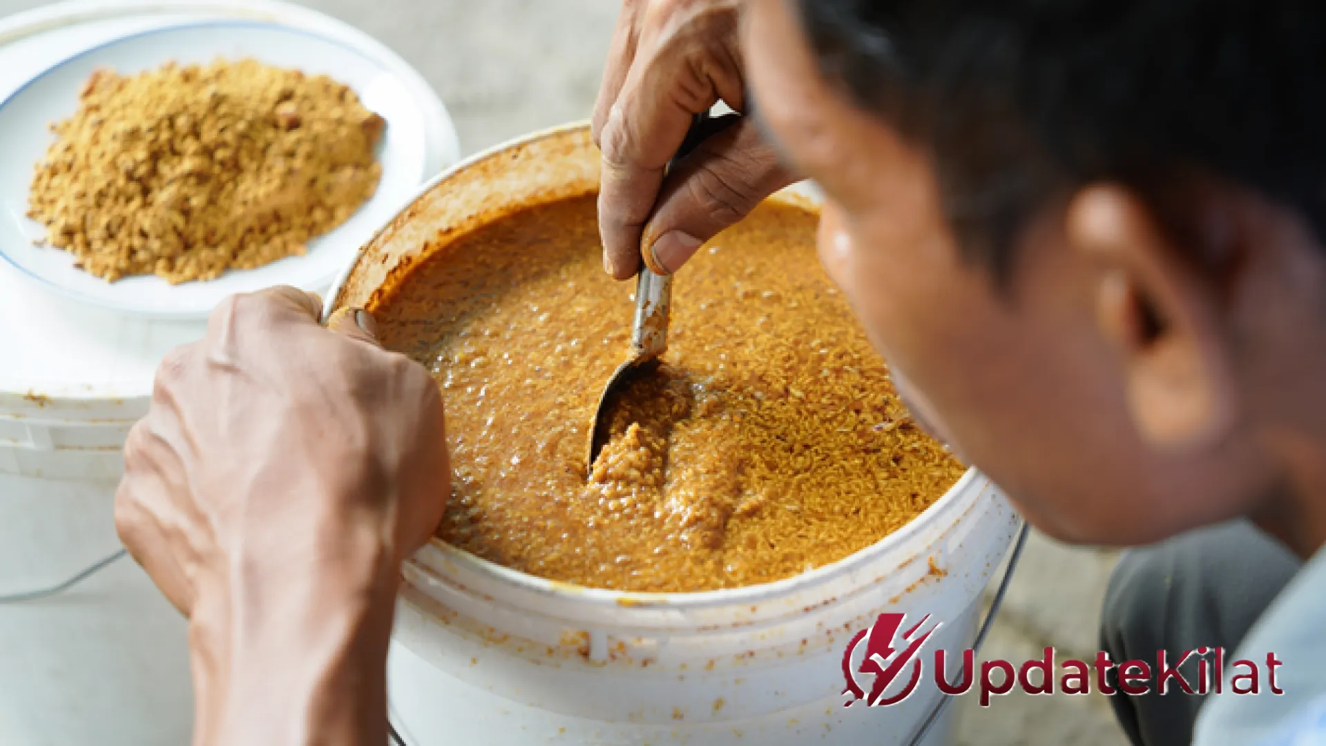 7 Racikan Pakan Ayam Kampung Hemat Biaya: Strategi Cerdas Peternak Pemula Menuju Cuan Melimpah