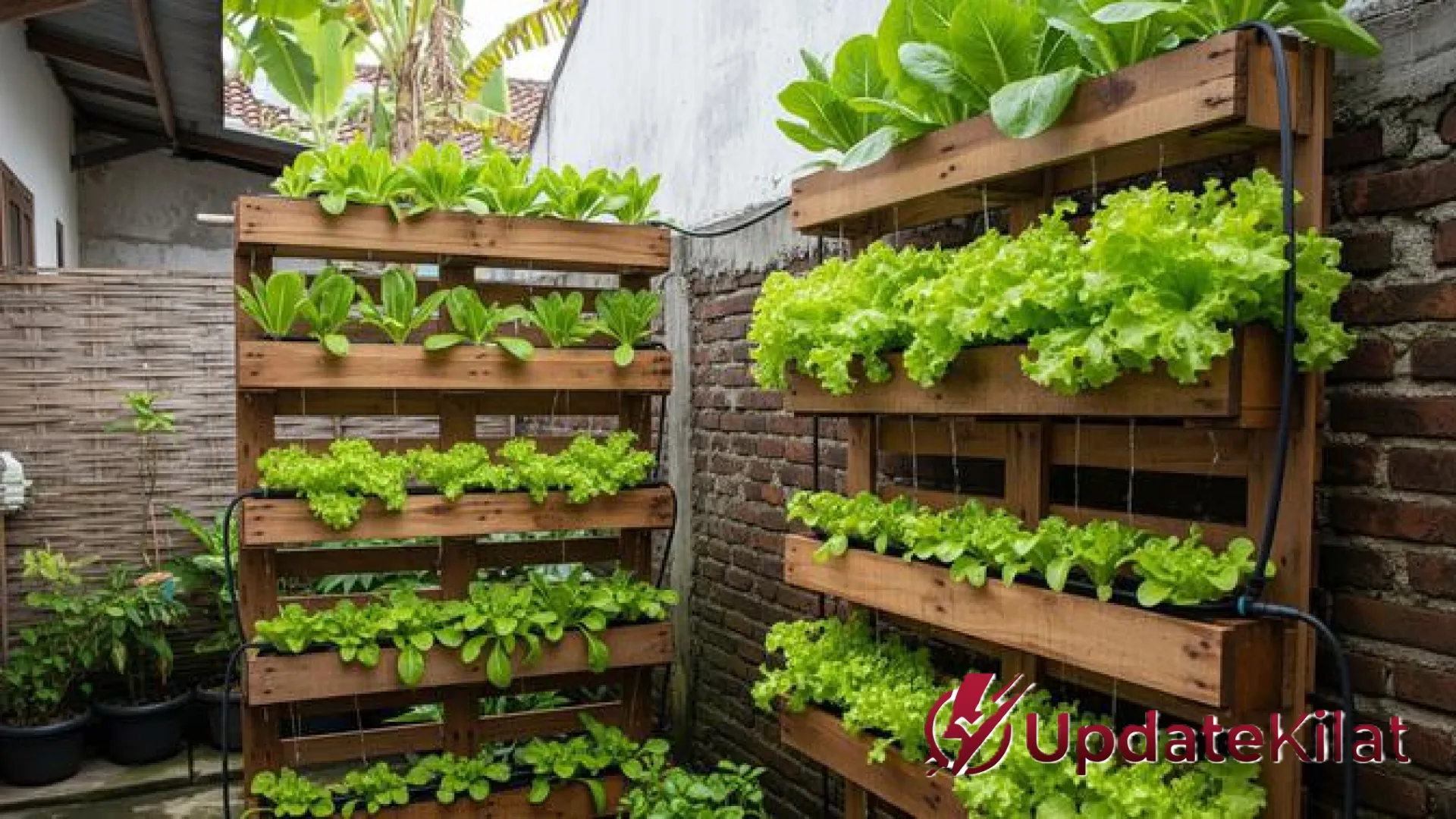 Revolusi Hijau di Lahan Sempit: 9 Inspirasi Kebun Sayur Kreatif untuk Hunian Tanpa Tanah Terbuka