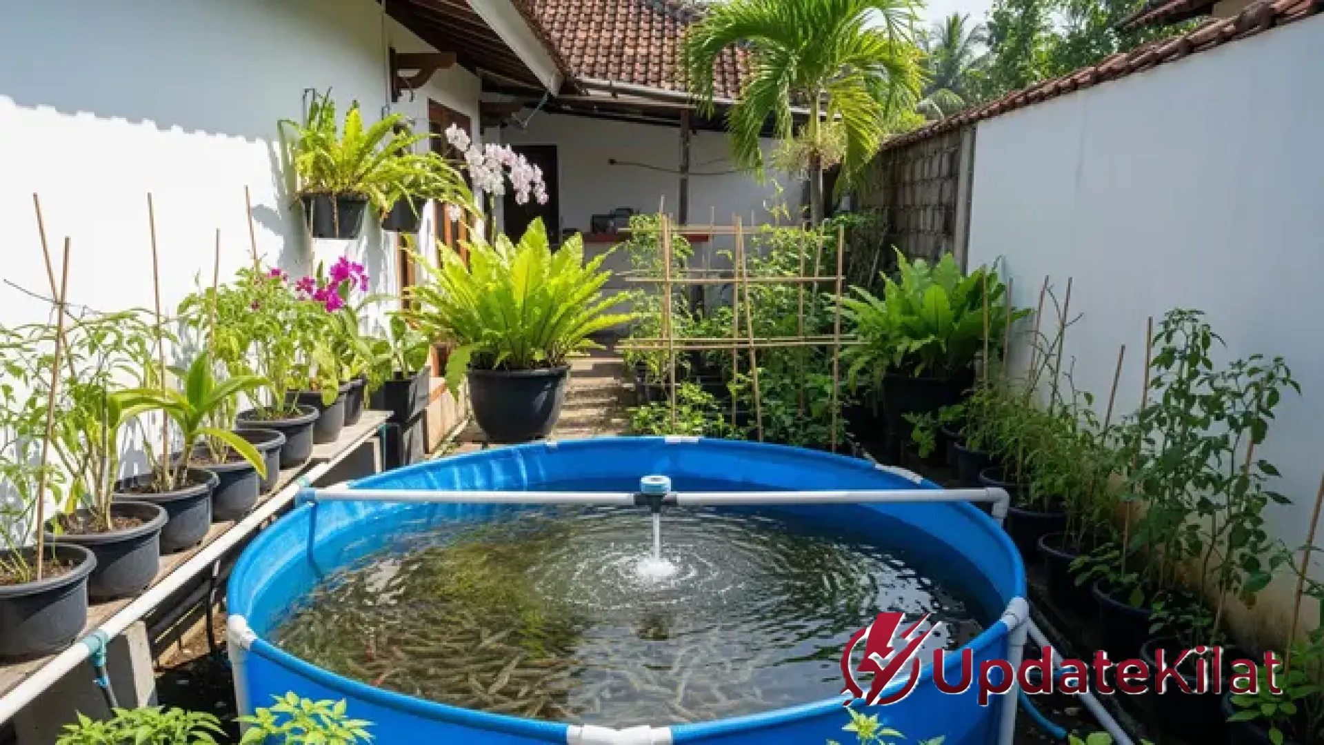 Revolusi Tambak Modern: 5 Desain Kolam Bundar Hemat Lahan untuk Genjot Produksi Udang Vaname