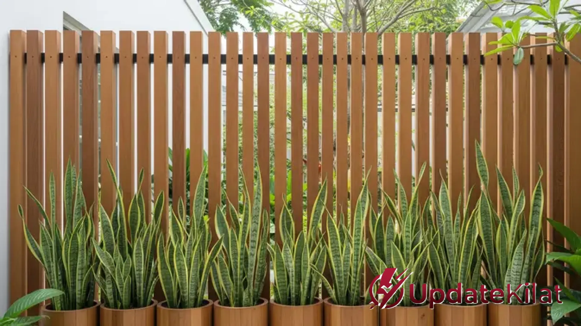 Hemat Budget! 9 Jenis Tanaman yang Bisa Diperbanyak Tanpa Beli Bibit Baru untuk Kebun Estetik