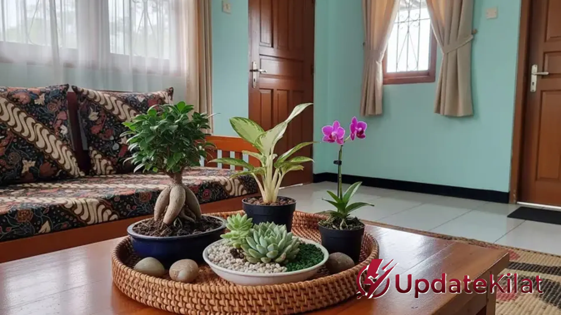 10 Pilihan Tanaman Hias untuk Meja Tamu: Ubah Suasana Ruangan Jadi Lebih Estetik dan Segar