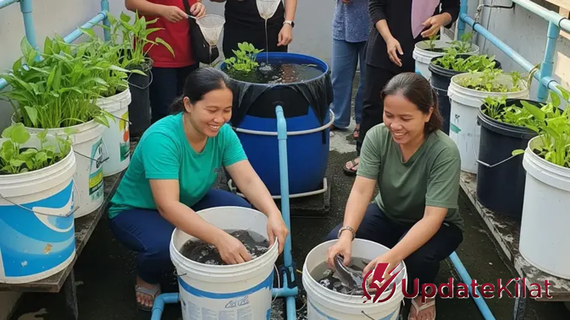 Solusi Cerdas IRT Modern: Strategi Mandiri Pangan Lewat Ternak Mini dan Kebun Sayur di Lahan Terbatas