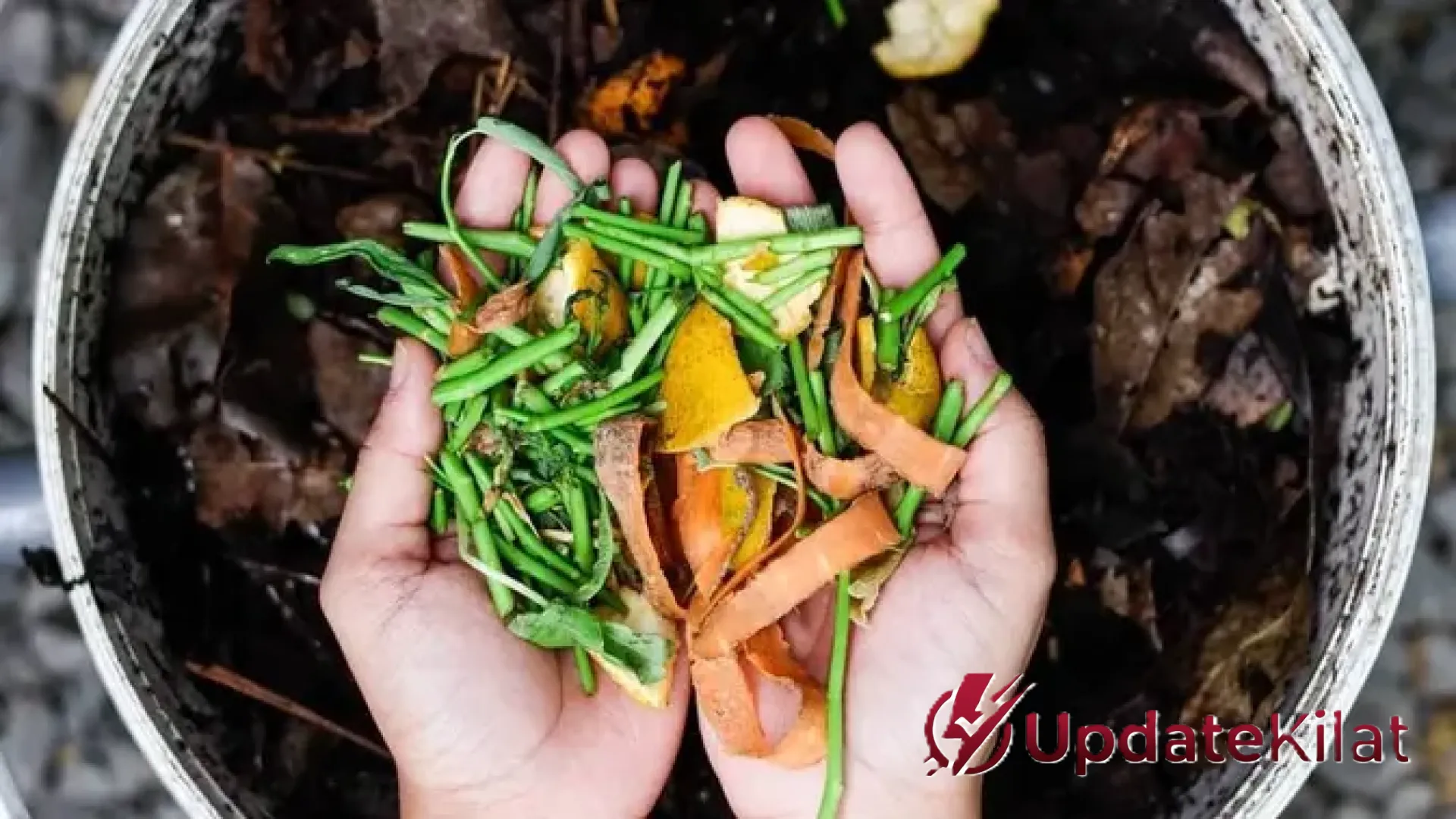 Strategi Cerdas Mengolah Sampah Organik Rumah Tangga Menjadi Kompos dan Sumber Pangan Sehat