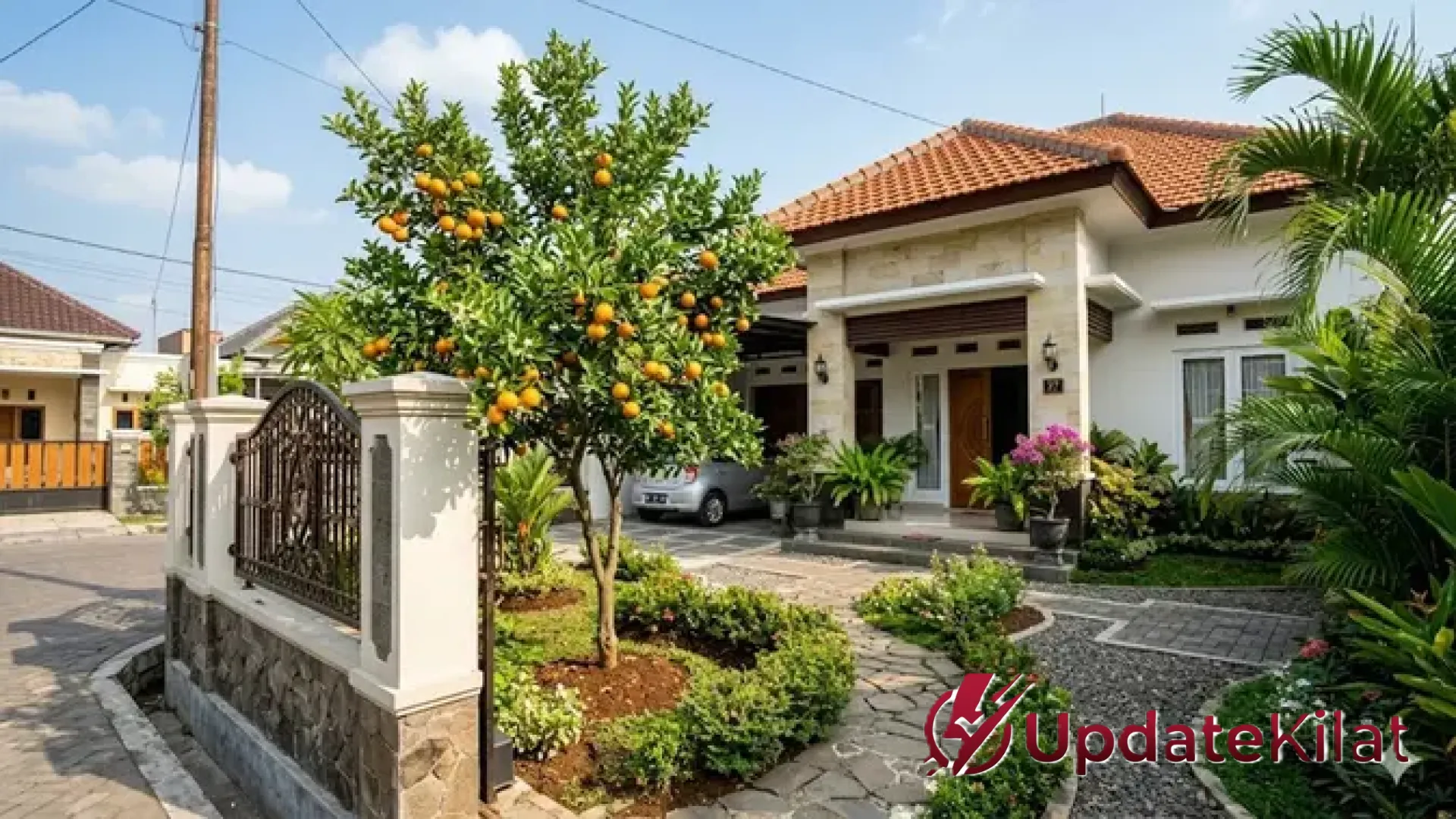 9 Pohon Buah Berakar Ramah Pondasi: Solusi Cerdas Berkebun di Lahan Sempit