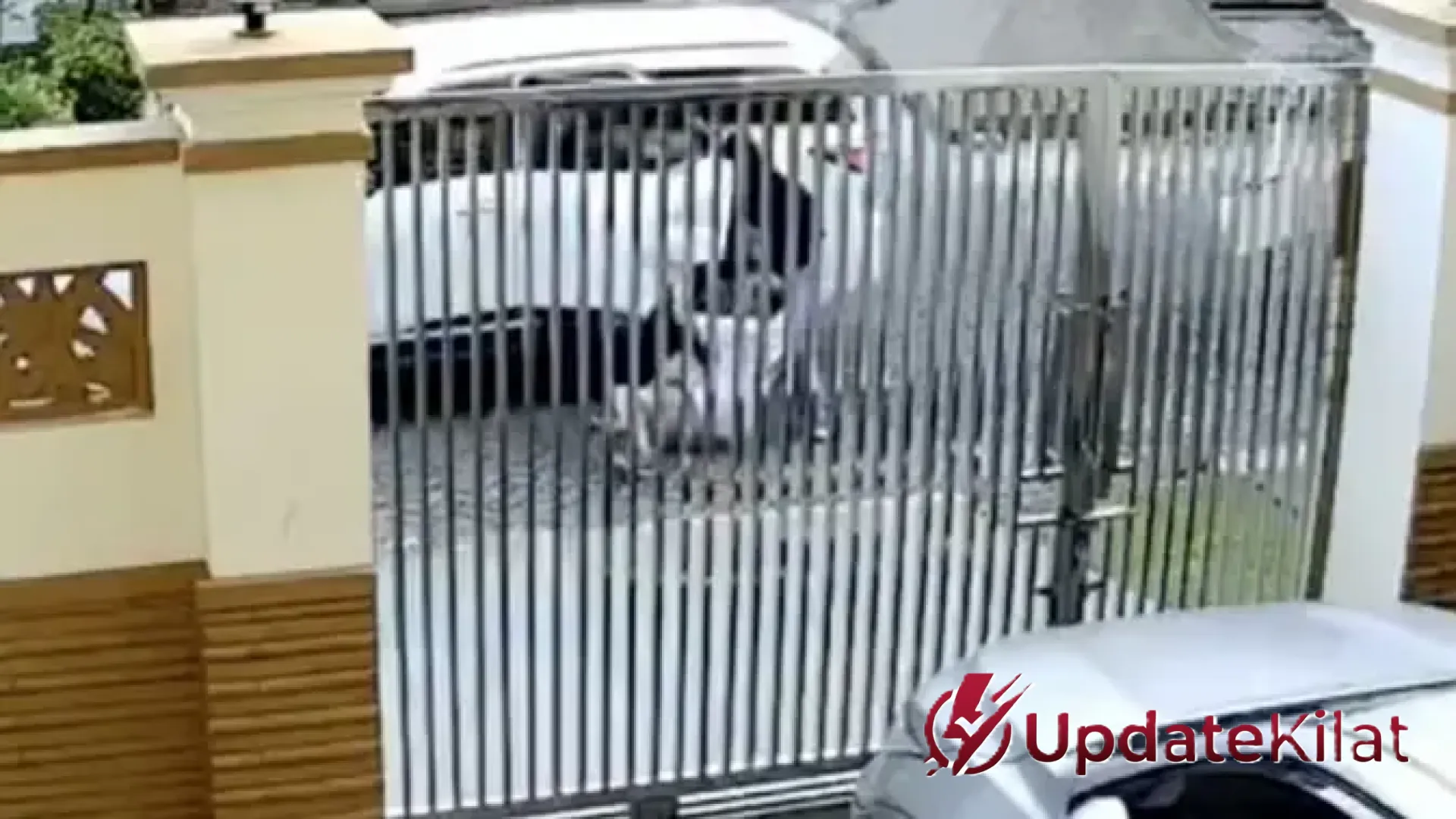 Aksi Heroik Lansia 70 Tahun Lawan Penculik di Penjaringan: Rekaman CCTV Ungkap Detik-Detik Mencekam