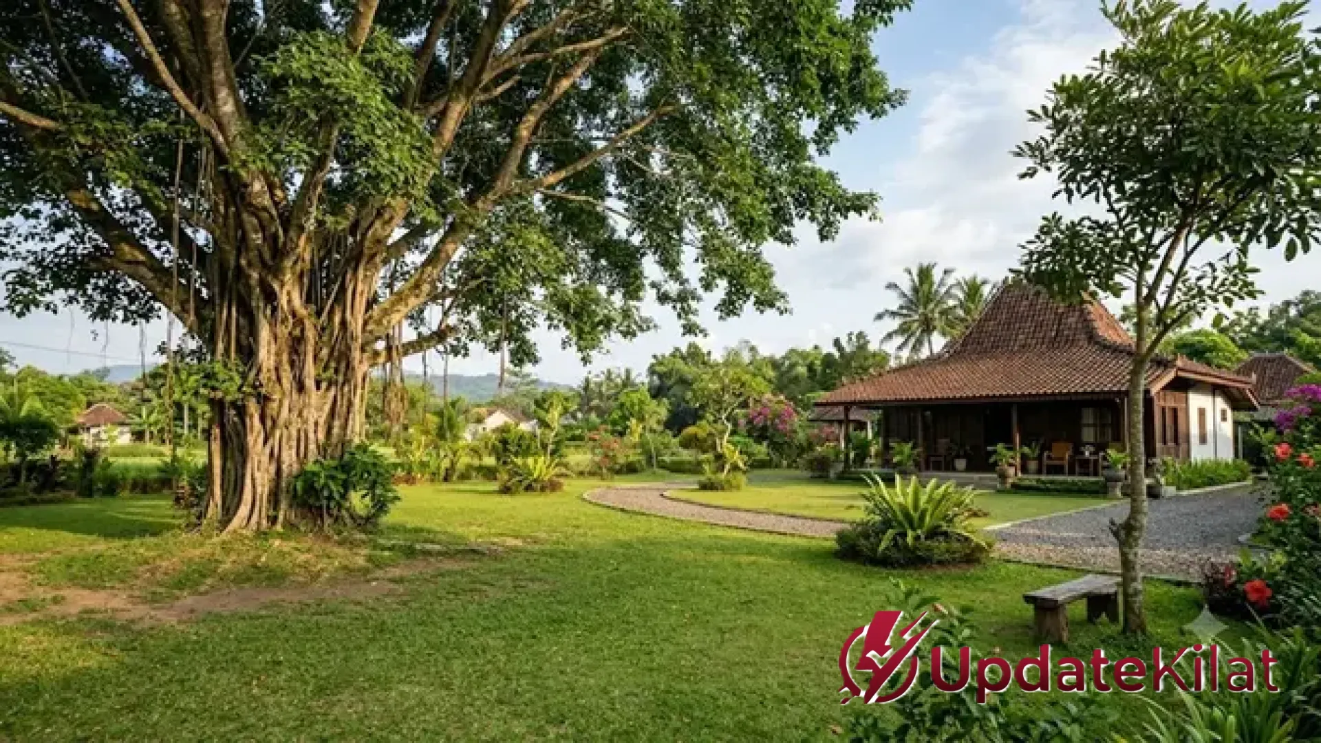 Rahasia Taman Asri Tanpa Retak Dinding: 10 Tips Menanam Pohon Aman di Area Rumah ala UpdateKilat