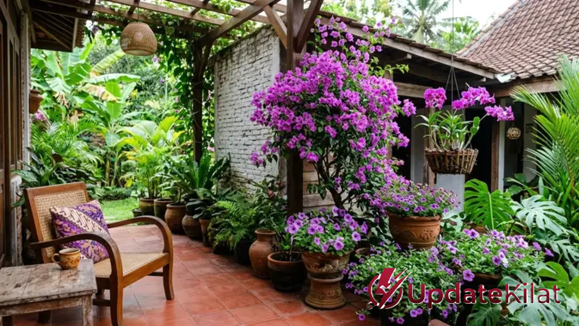 Sentuhan Ungu yang Menenangkan: 8 Tanaman Hias untuk Teras Adem dan Estetik