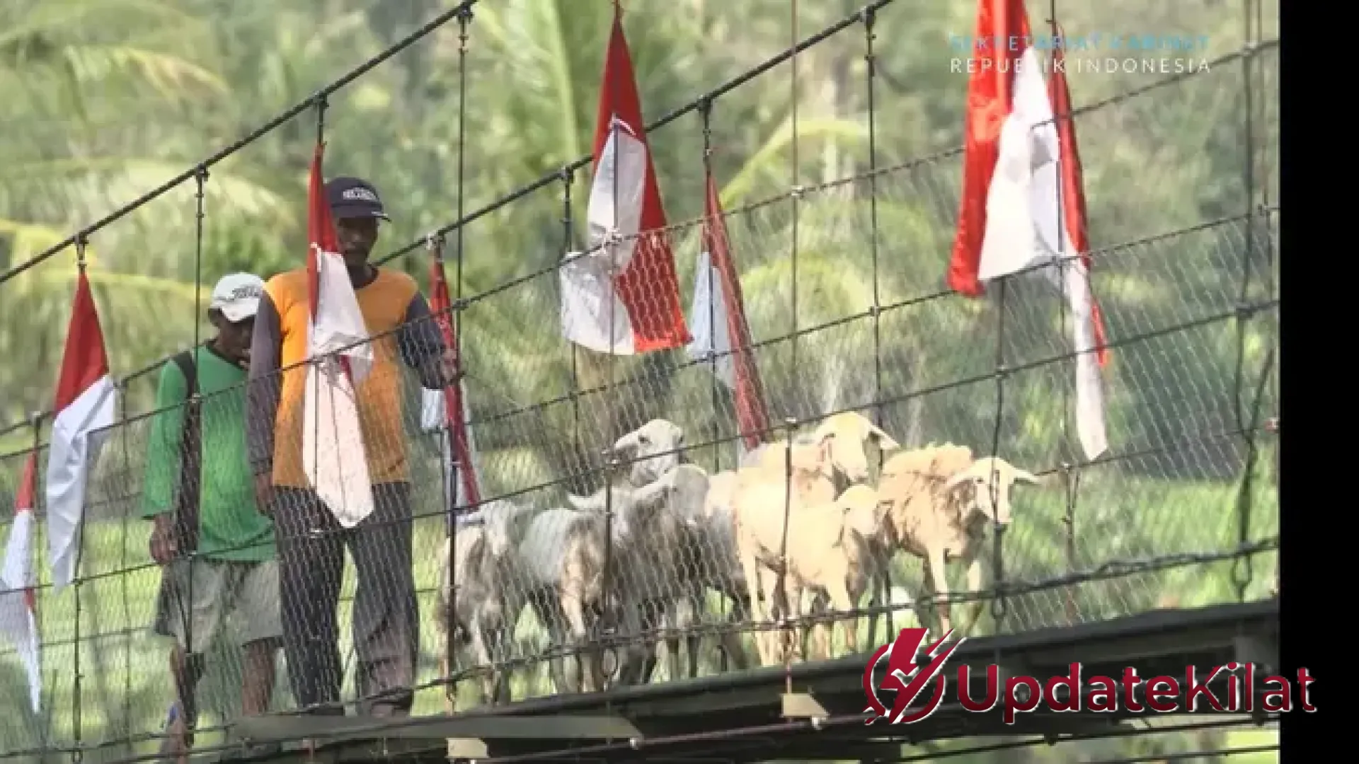 Meniti Harapan di Atas Aliran Sungai: Seskab Teddy Ungkap Progres Masif 2.500 Jembatan Gantung untuk Pelosok Negeri