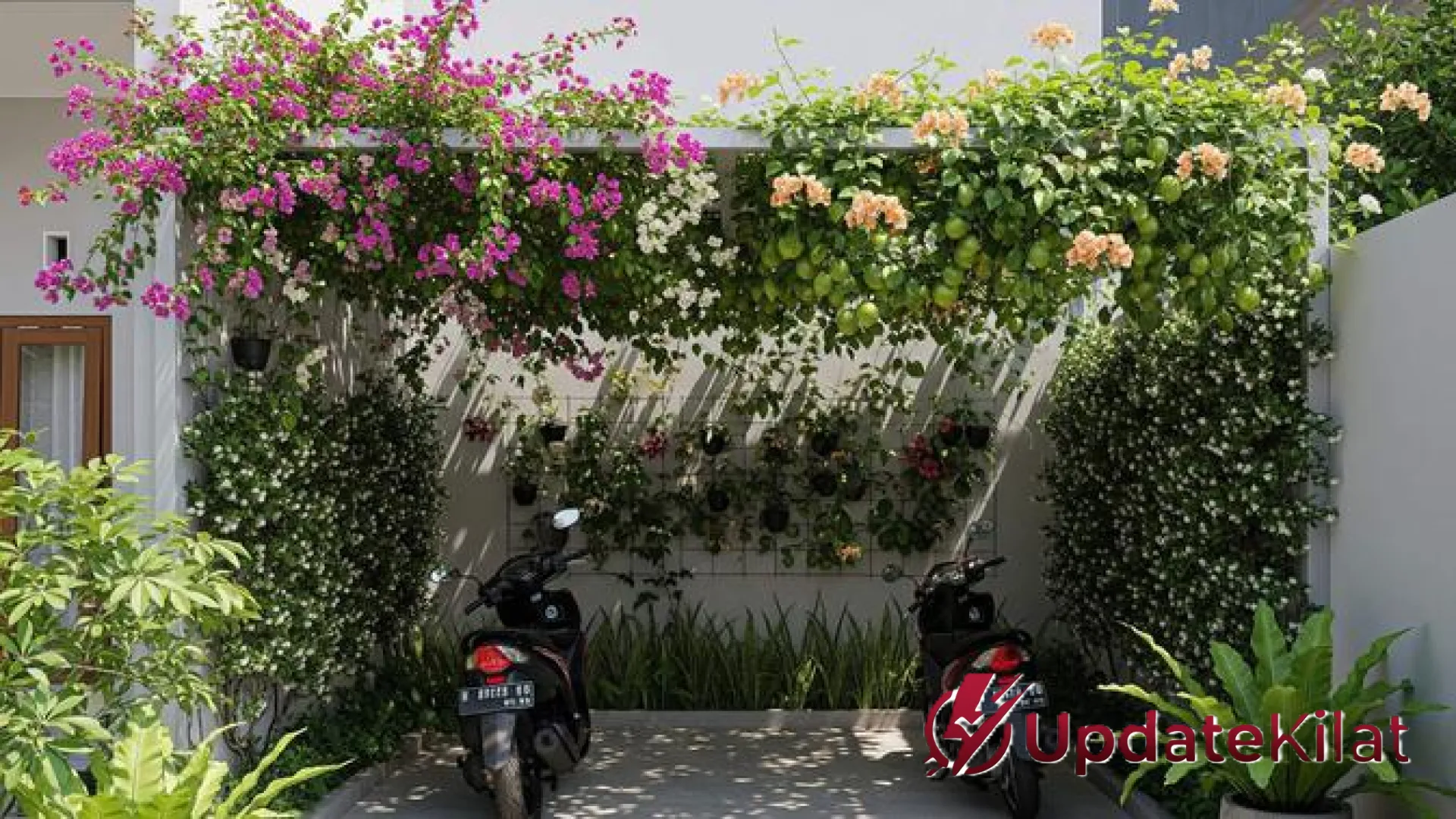 10 Tanaman Rambat Peneduh Garasi: Bikin Carport Sejuk dan Motor Tetap Adem