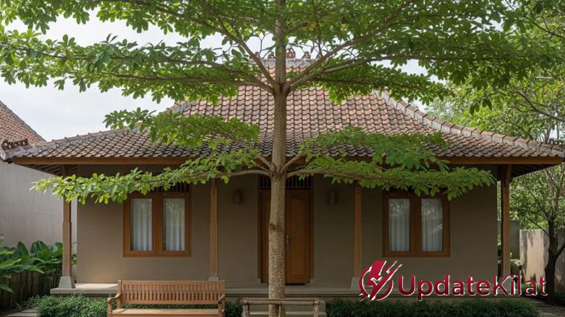 16 Jenis Pohon Hias untuk Ciptakan Suasana Vila yang Asri dan Sejuk di Halaman Rumah