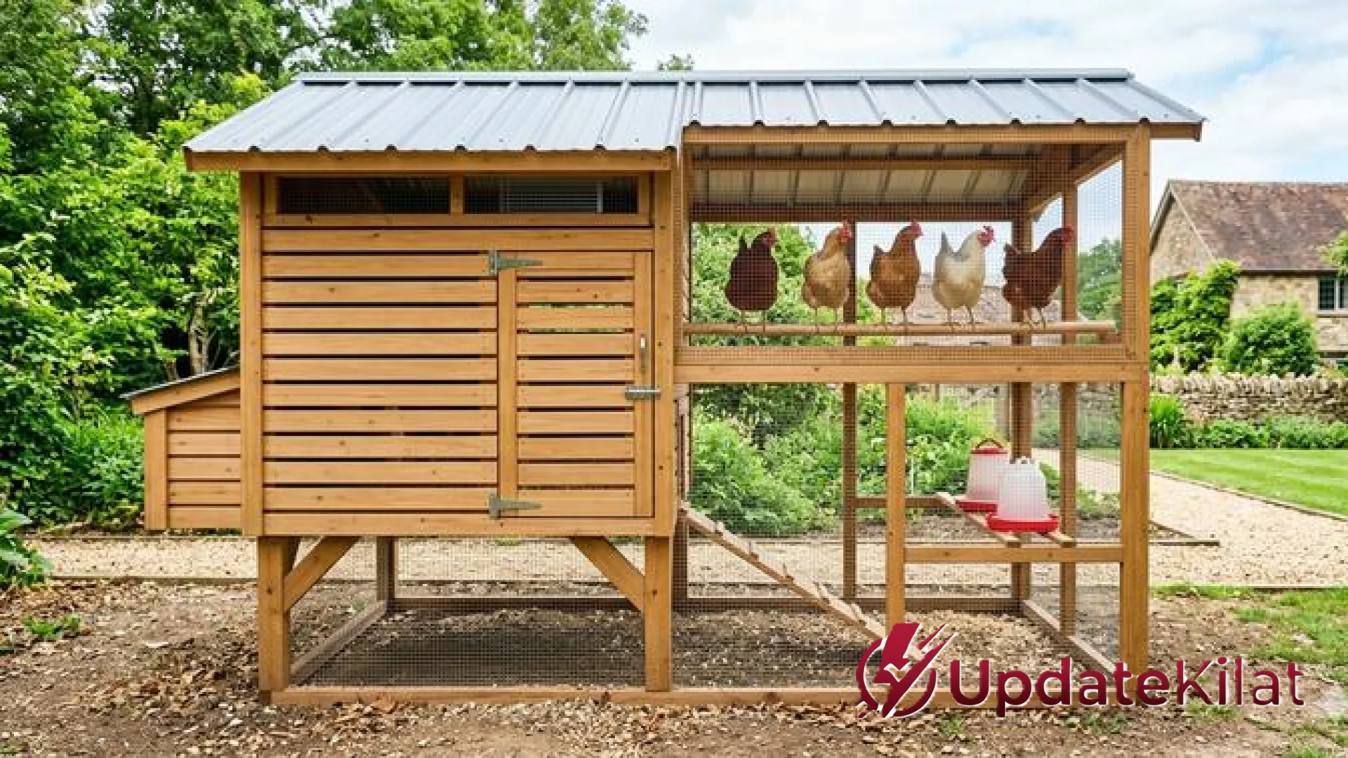 6 Inspirasi Desain Kandang Ayam dengan Tempat Bertengger Modern: Solusi Unggas Sehat dan Bebas Stres