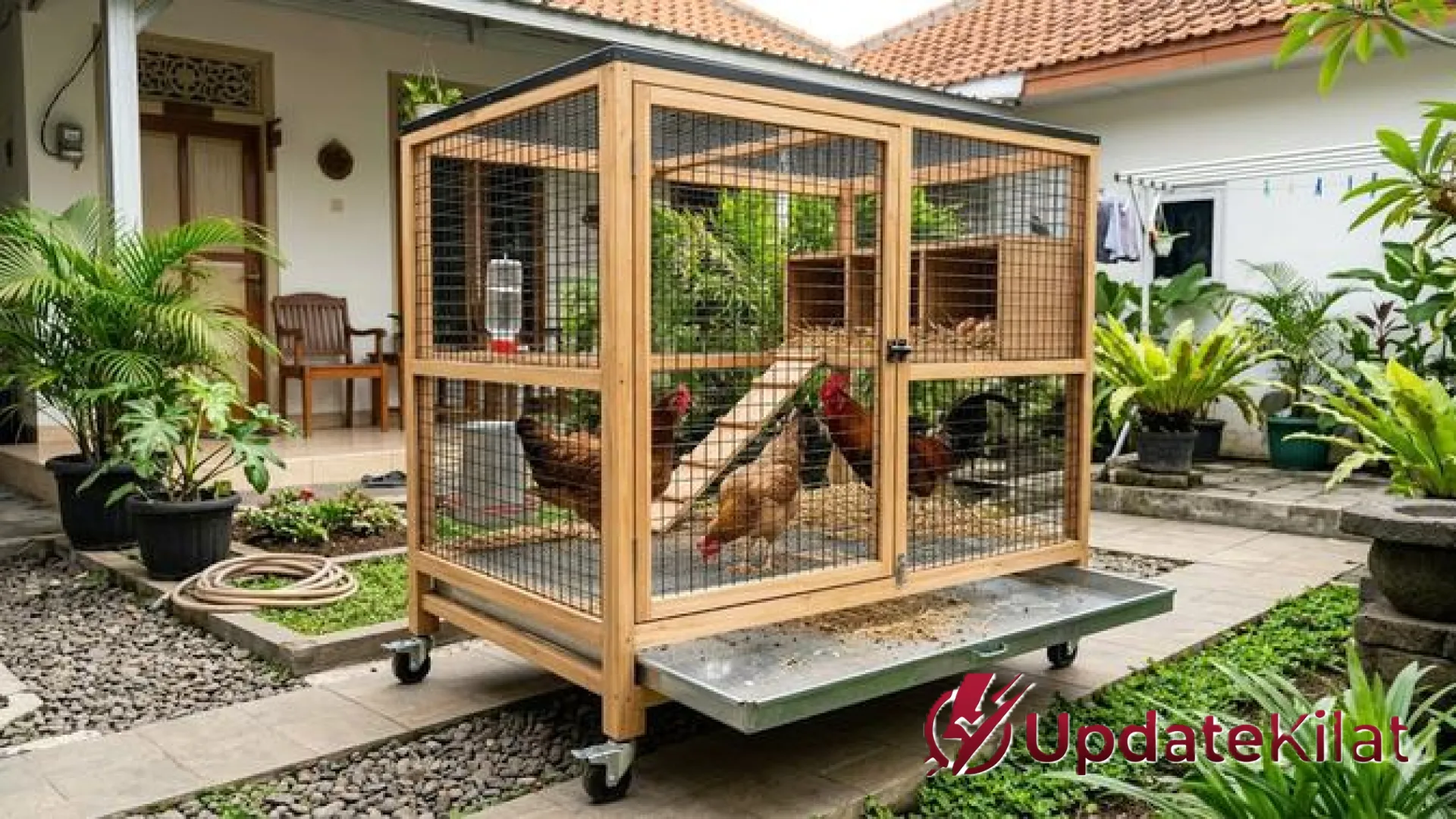 7 Inspirasi Desain Kandang Ayam Portabel Beroda: Solusi Beternak Fleksibel dan Modern
