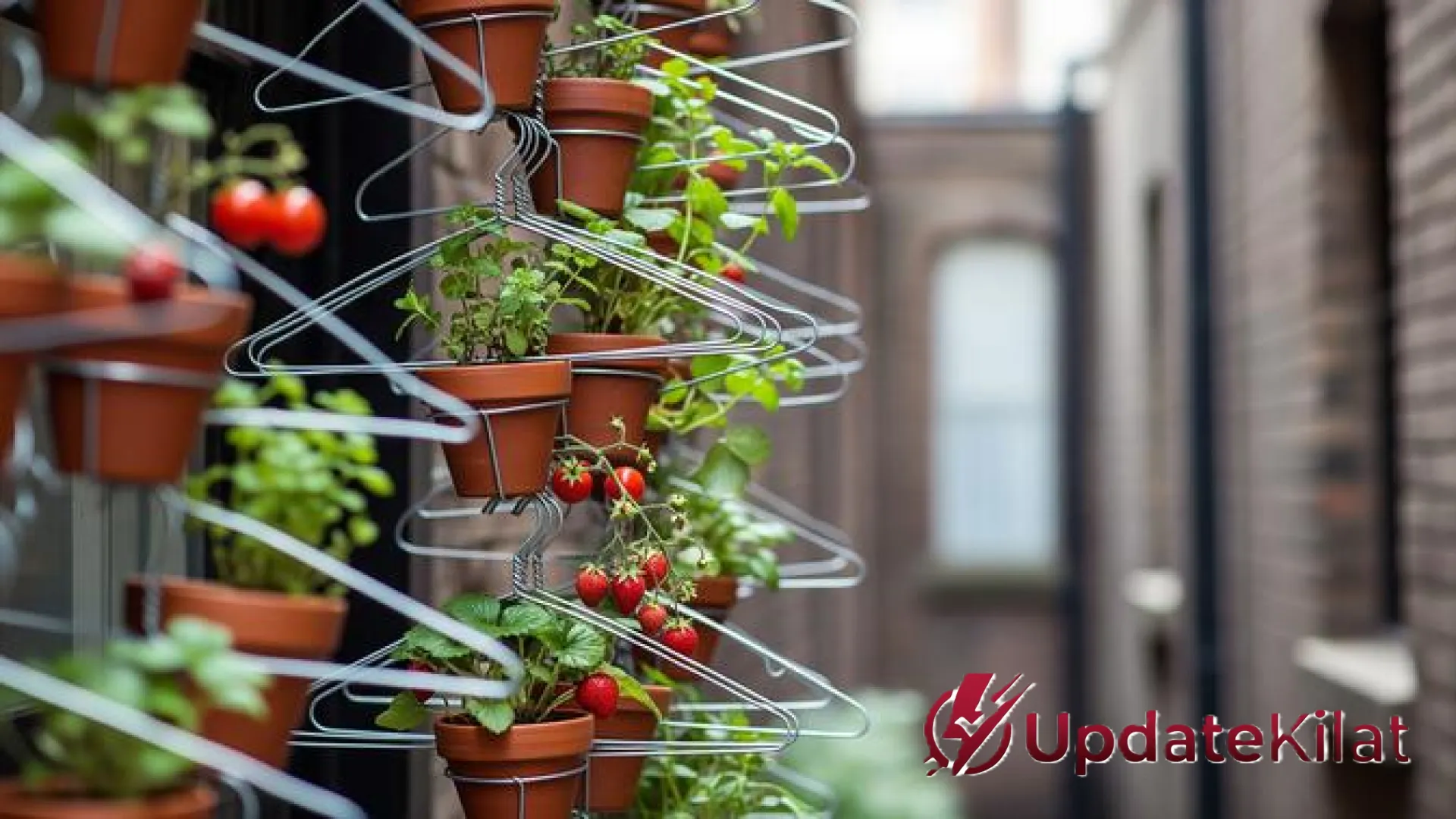 7 Inspirasi Kebun Vertikal dari Gantungan Baju Bekas: Solusi Hijau Kreatif di Lahan Terbatas