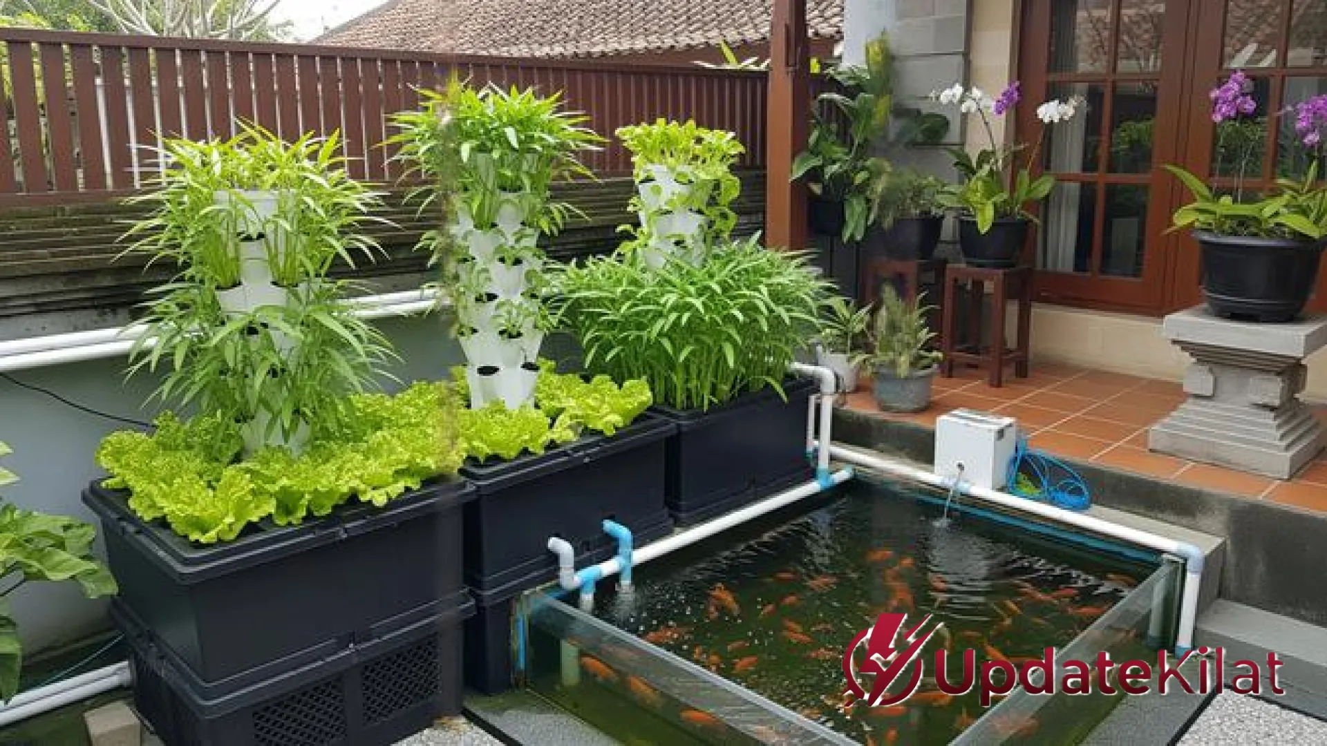 7 Inspirasi Kolam Ikan dan Kebun Sayur Mini untuk Ketahanan Pangan di Lahan Sempit