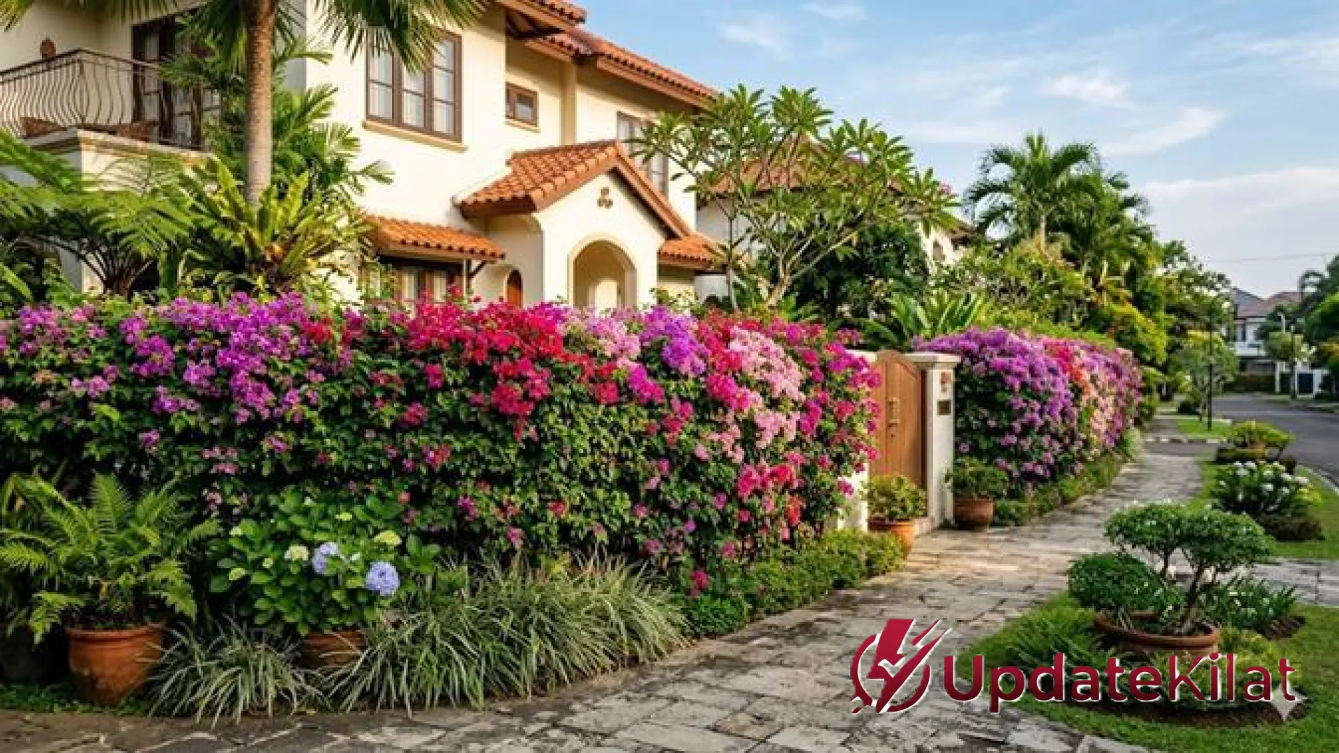 8 Tanaman Merambat Berbunga Tahan Panas untuk Estetika Hunian yang Sejuk dan Asri