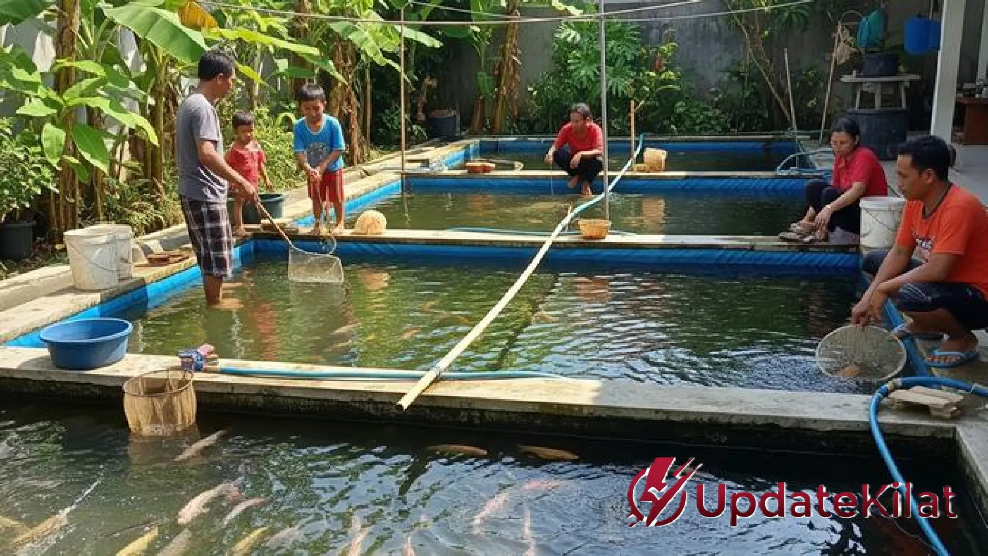 9 Taktik Jitu Ternak Ikan Agar Balik Modal dalam 30 Hari: Panduan Cuan Maksimal bagi Pemula