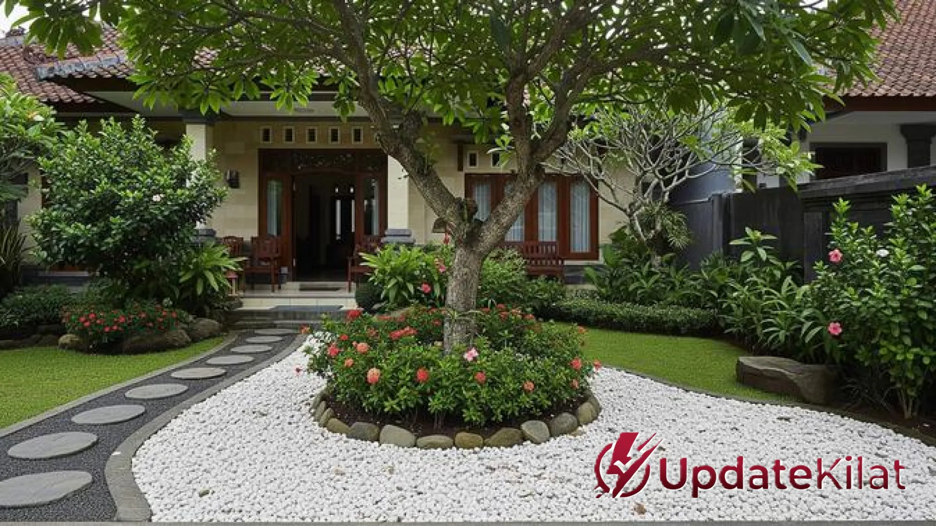 Hadirkan Nuansa Resor di Rumah, Ini 12 Jenis Pohon Tropis untuk Teras yang Menyejukkan