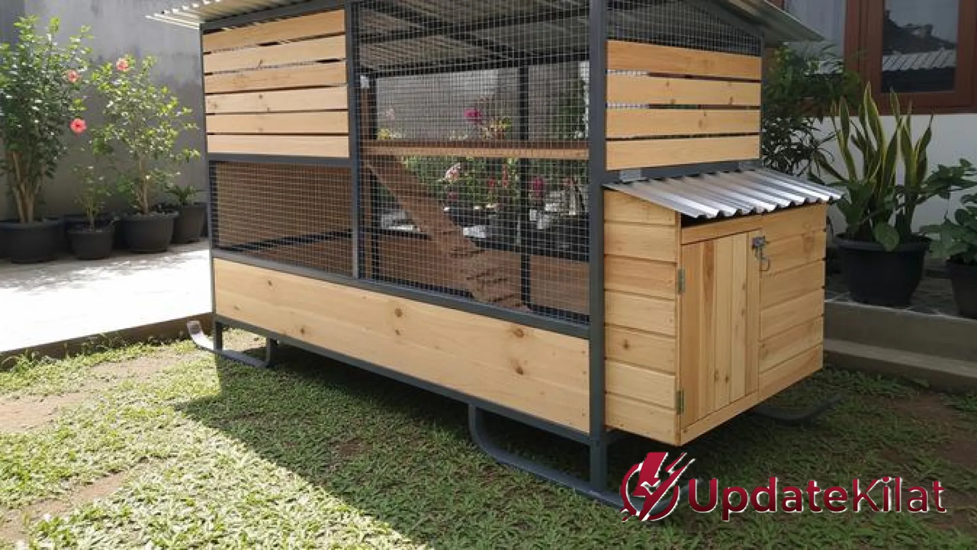 Inovasi Kandang Ayam Modern: 9 Desain Rangka Baja Ringan Kombinasi Kayu yang Estetik dan Tahan Lama